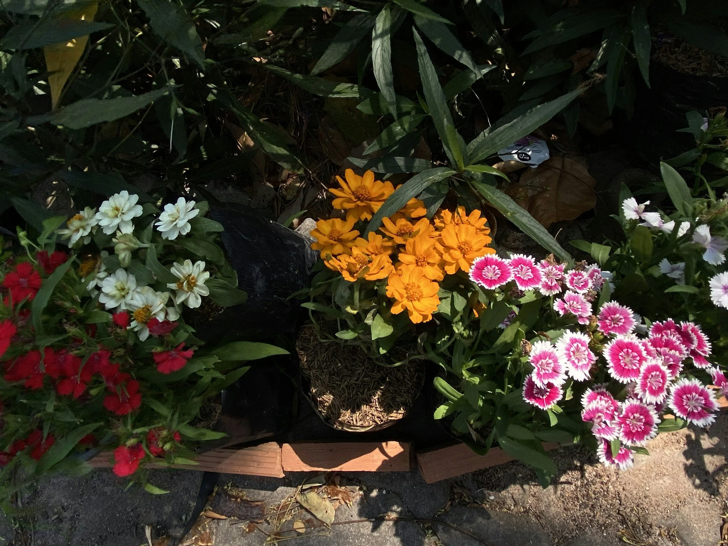 Flower and Garden Show