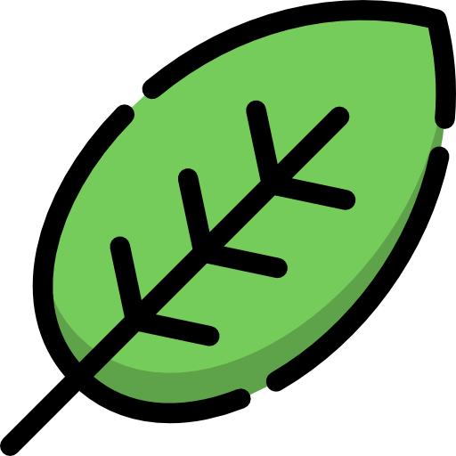 Une feuille verte stylisée avec des nervures noires