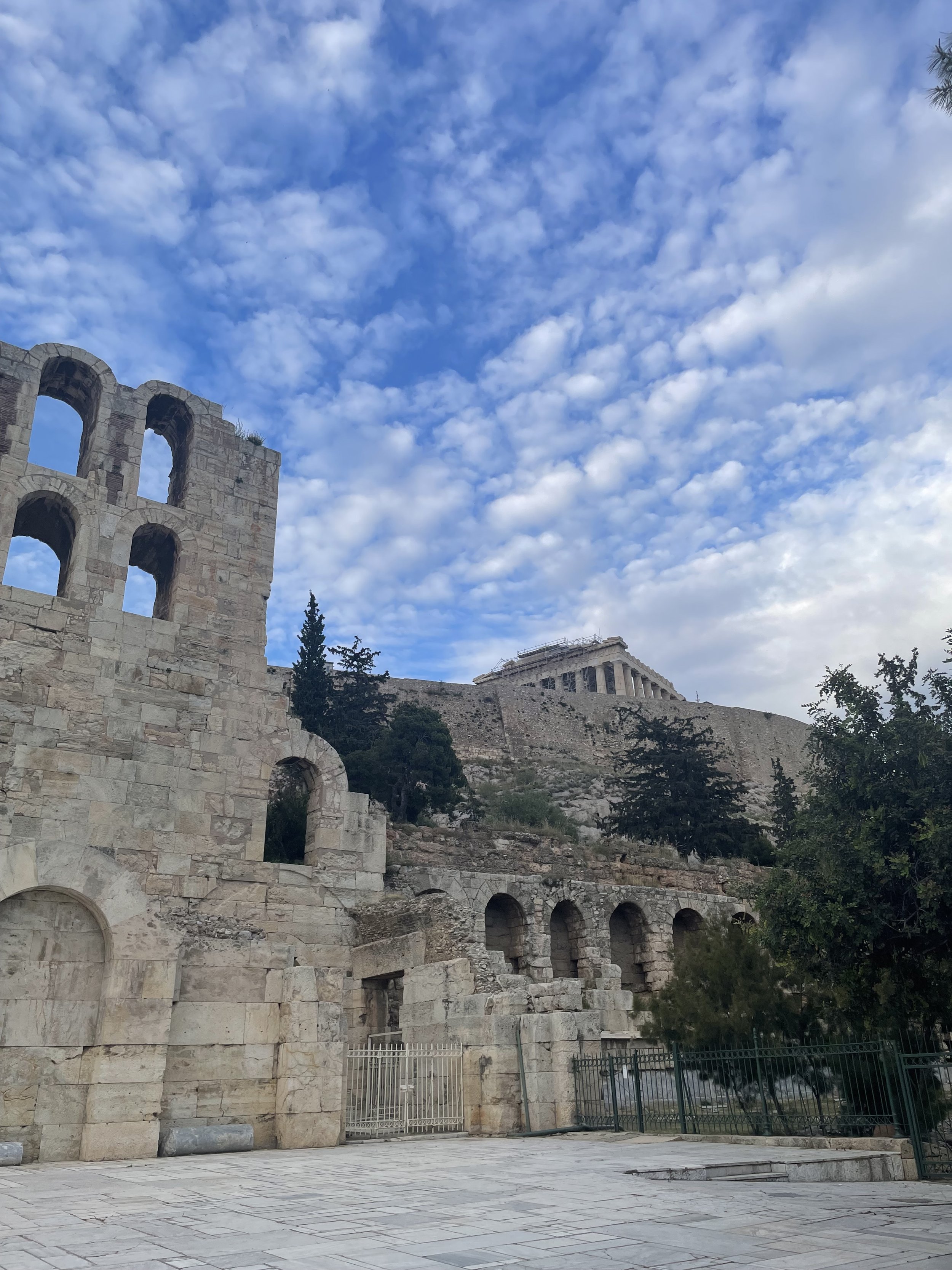 IMG_9908.jpeg