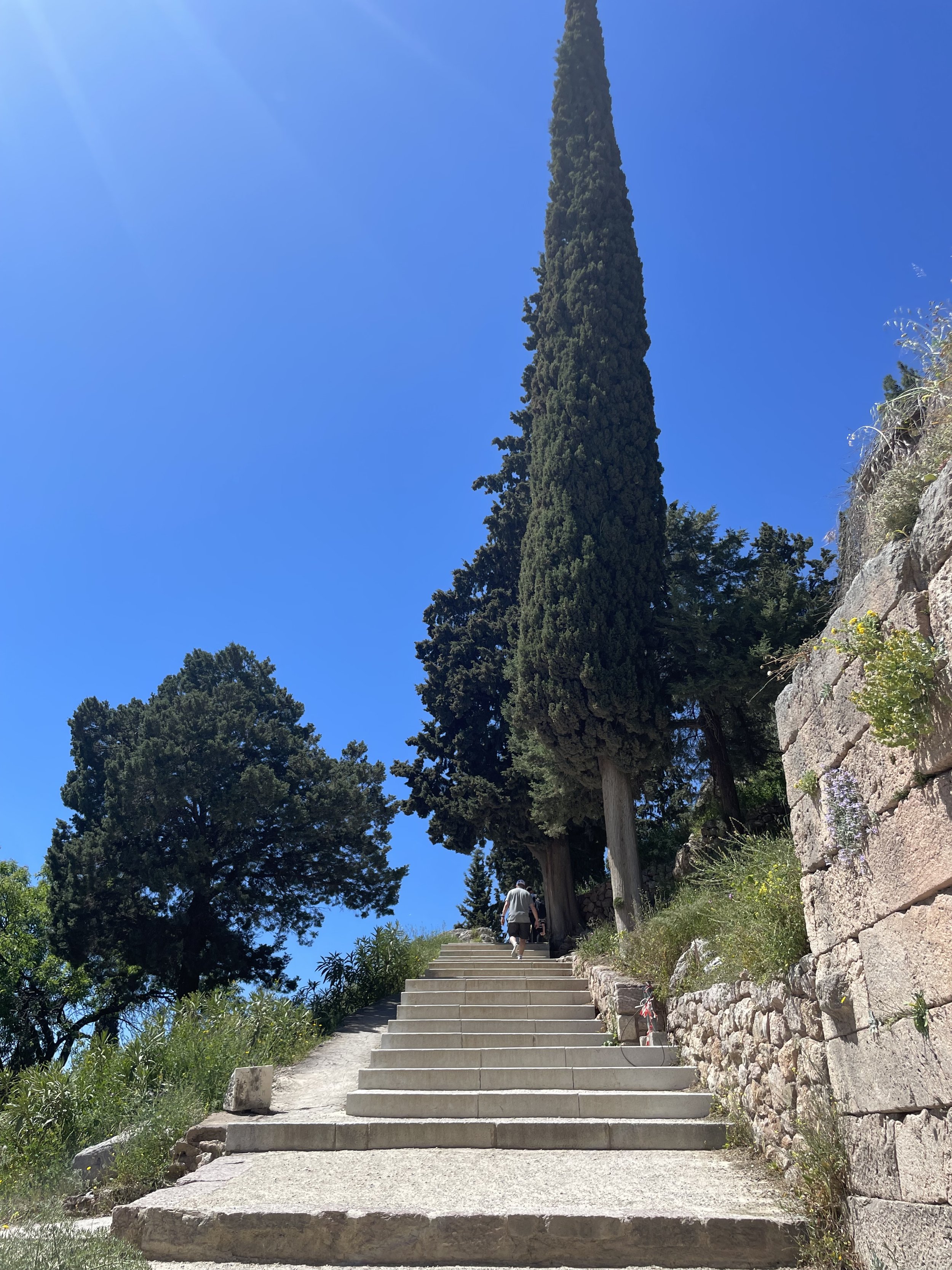 IMG_9941.jpeg