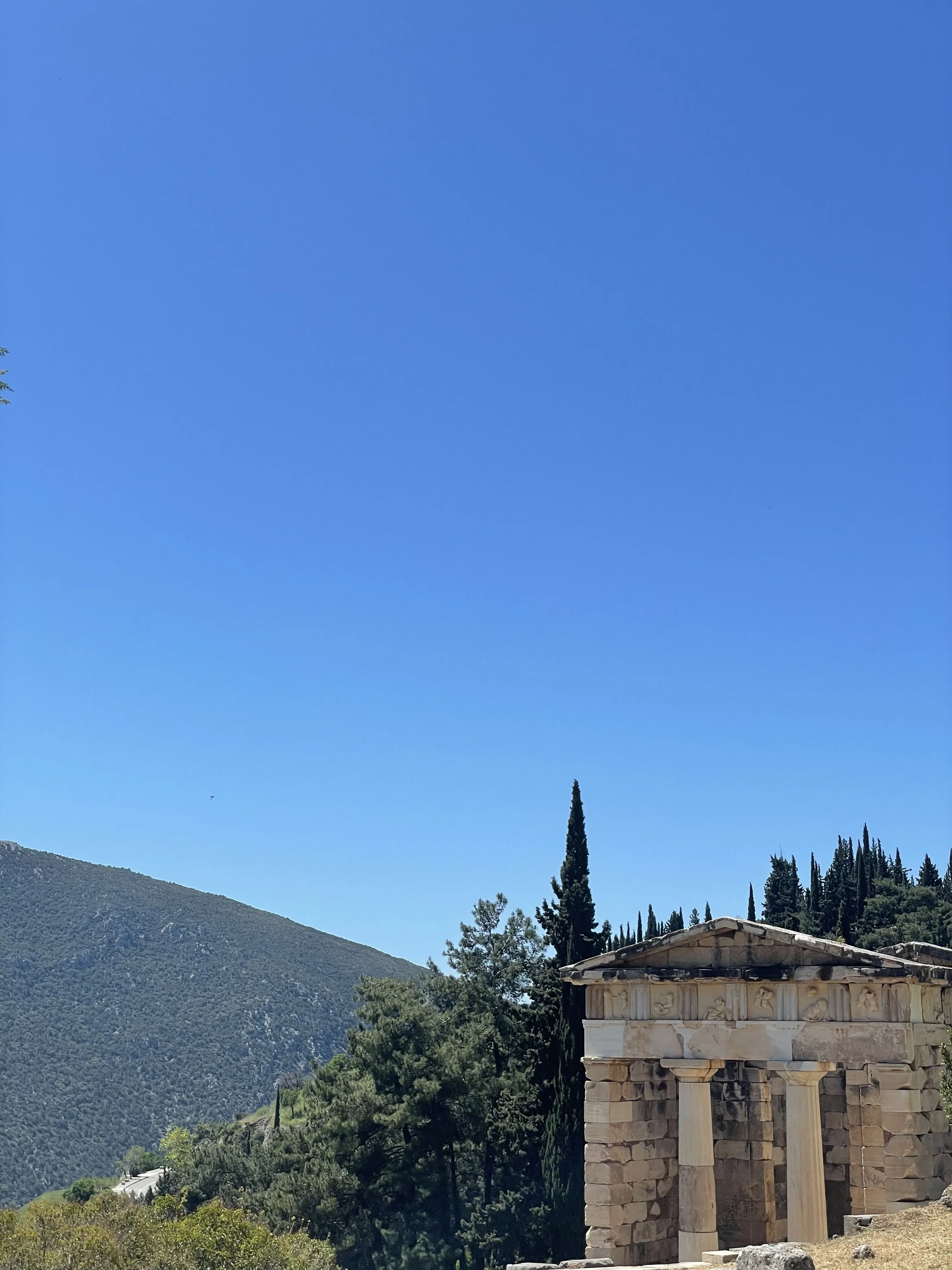 IMG_9956.jpeg