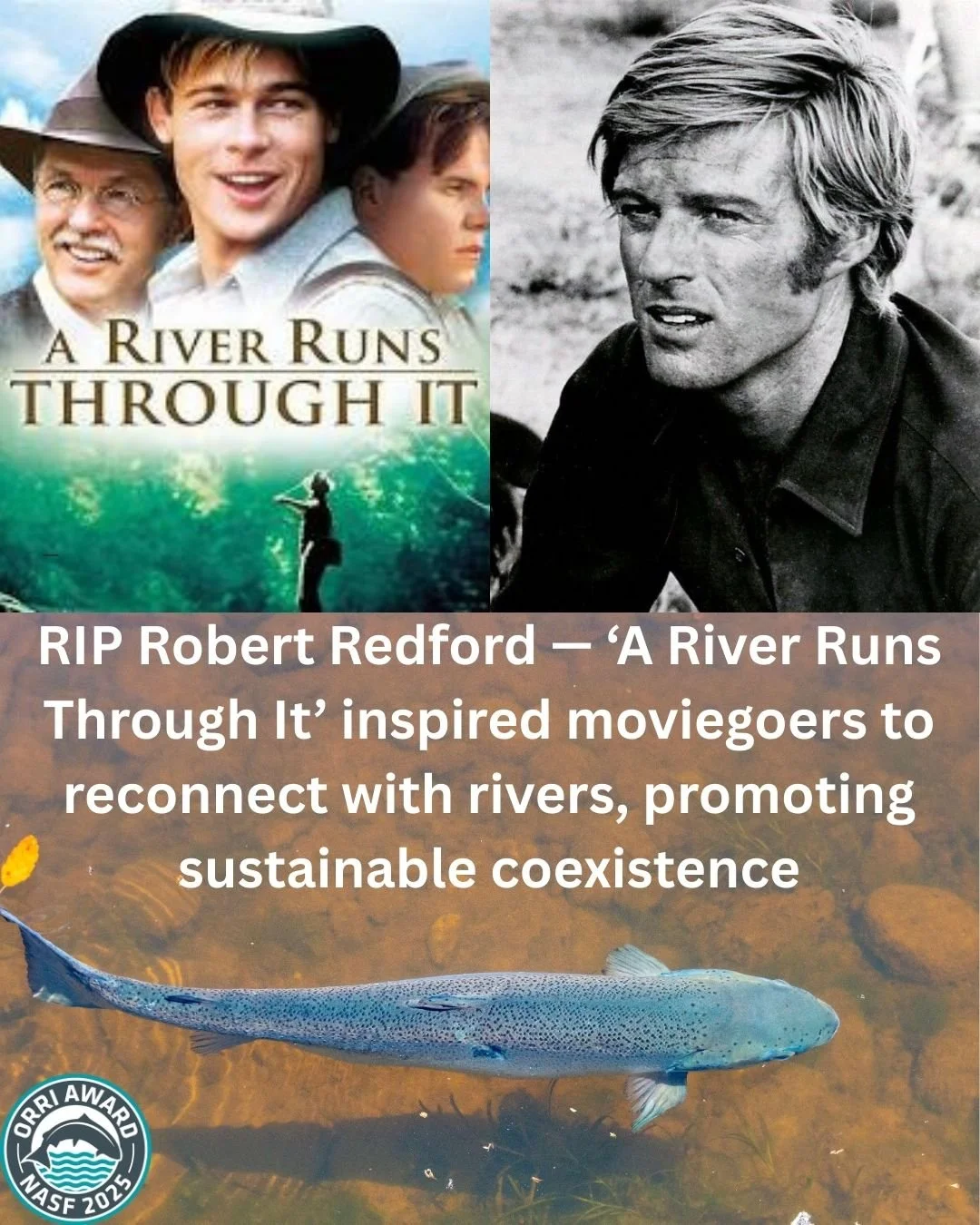 🏆 'The Orri' award 2025 will help UK based riverine salmon conservationists access up to &pound;20 000 to fund their project.

Applications are easy, just one short form at our website: www.nasf.org.uk 

Applications close on October 17th

☕ Need ad