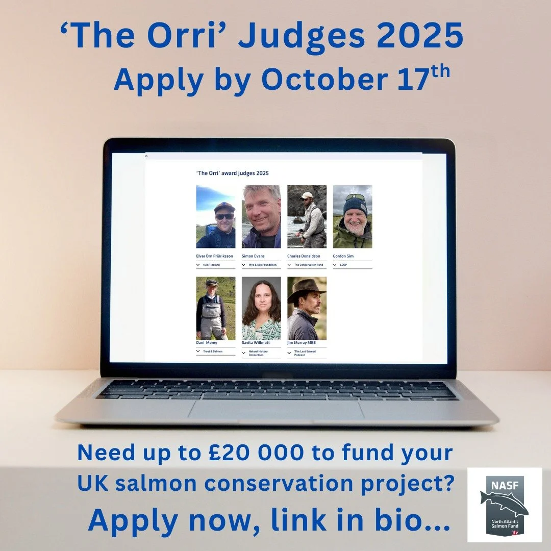 The Orri Award 2025 is now open for applications, and the judges are eager to review your innovative UK salmon conservation project ideas. 🐟🌿

The judging panel brings together diverse expertise in salmon conservation and connecting people with nat