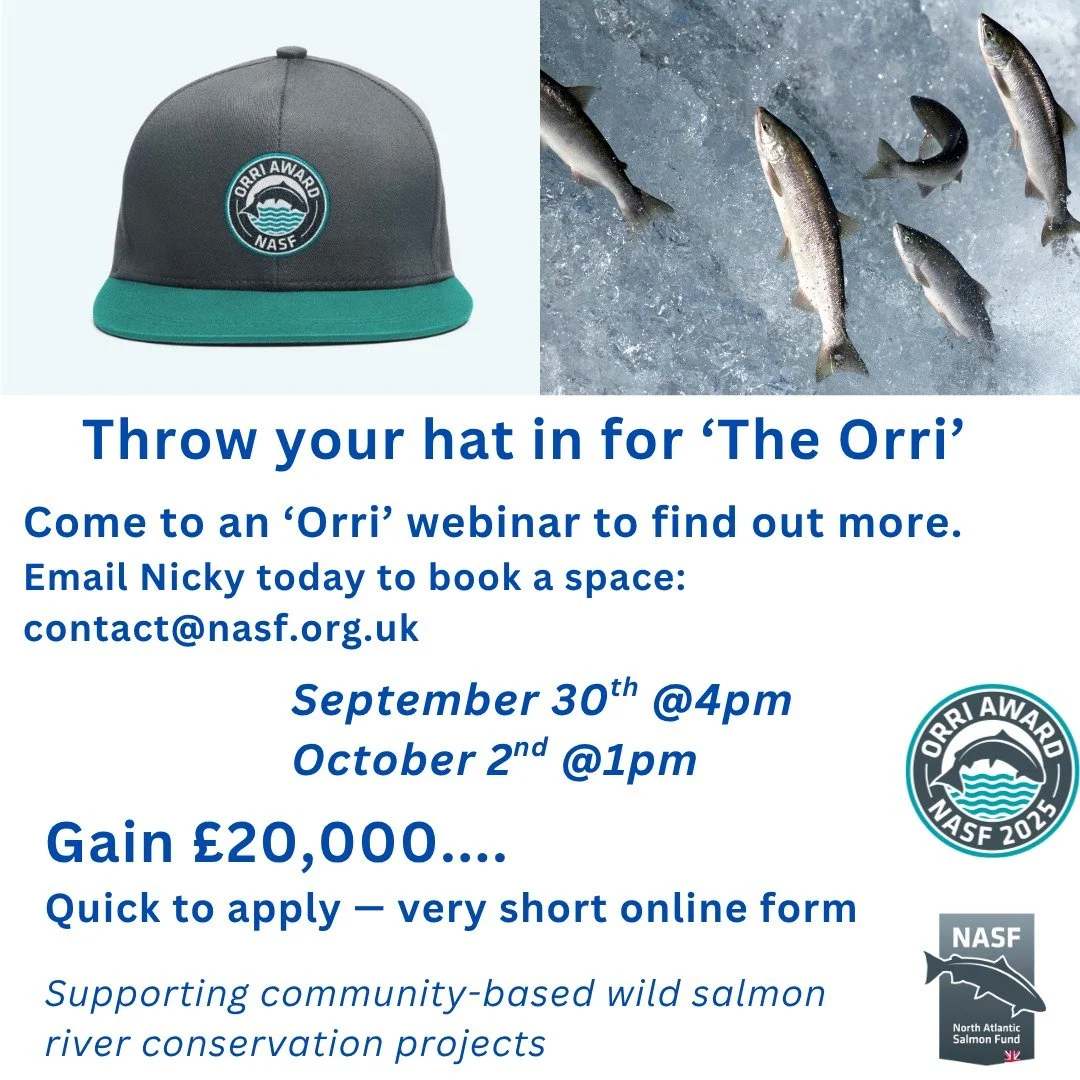 🐟 Introducing &lsquo;The Orri&rsquo; &ndash; our new community-based British salmon conservation award

🏆 Named in honour of Orri Vigf&uacute;sson &ndash; legendary Icelandic conservationist, fisherman and founder of our charity.

Got an idea to he