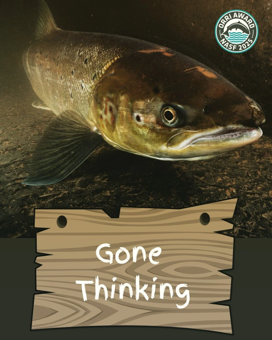 Thank you to everyone who applied for 'The Orri' Award 2025, and our community of supporters! 💙

We&rsquo;ve been blown away by the amazing, community-driven salmon conservation projects from across England, Wales &amp; Scotland. 🐟

Now comes the t