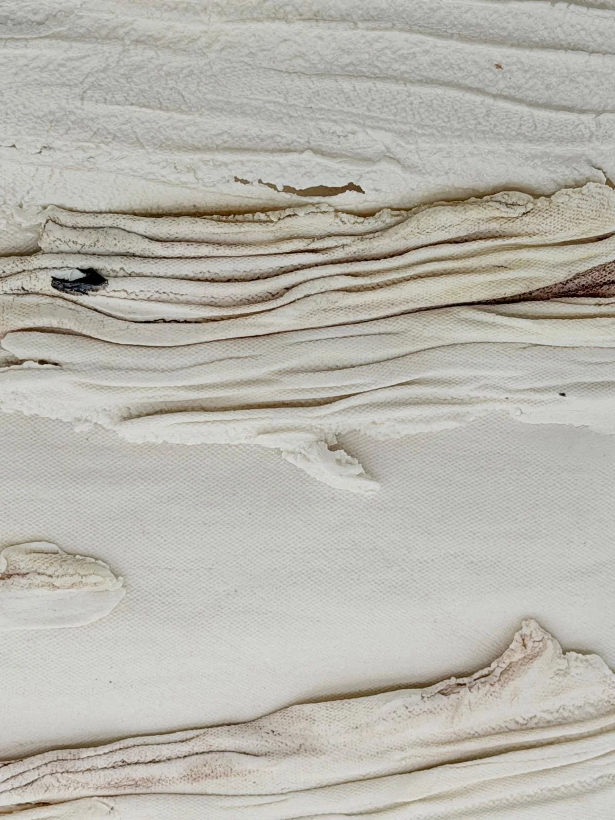 7cc0a8c7-d01b-44bf-9e5e-a8e4f22ada15.JPG