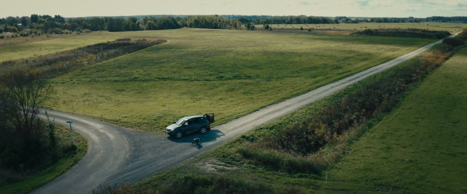 Still 2026-02-20 154407_1.254.1.jpg