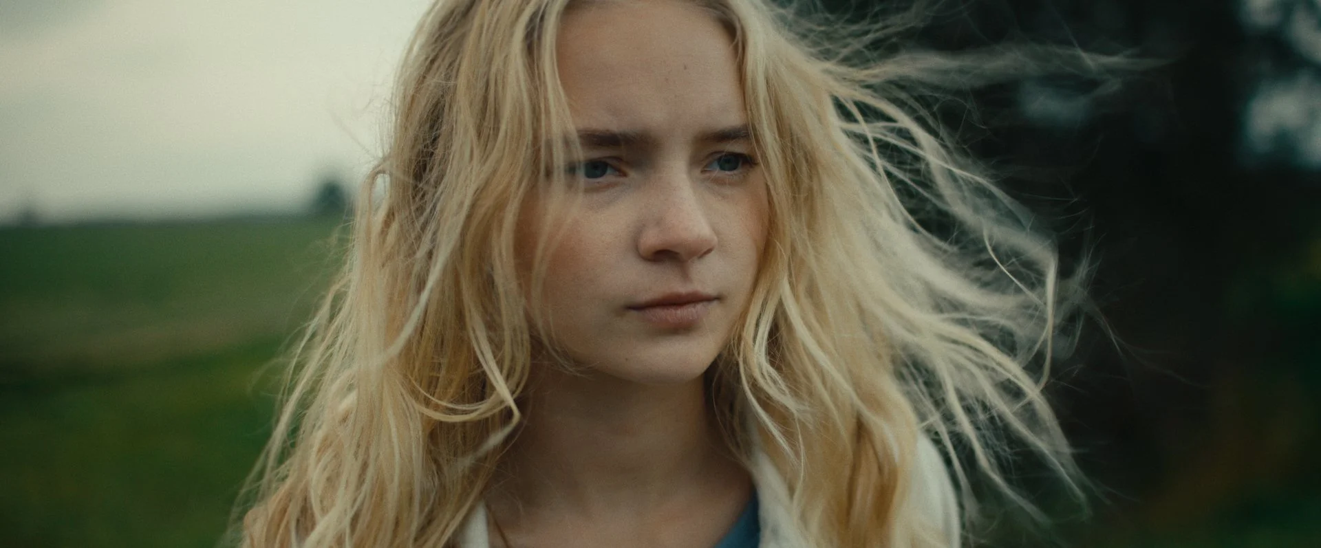 Still 2026-02-20 155536_2.21.1.jpg