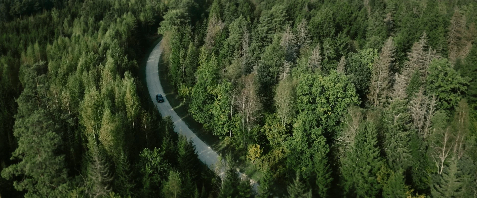 Still 2026-02-20 154407_1.164.1.jpg