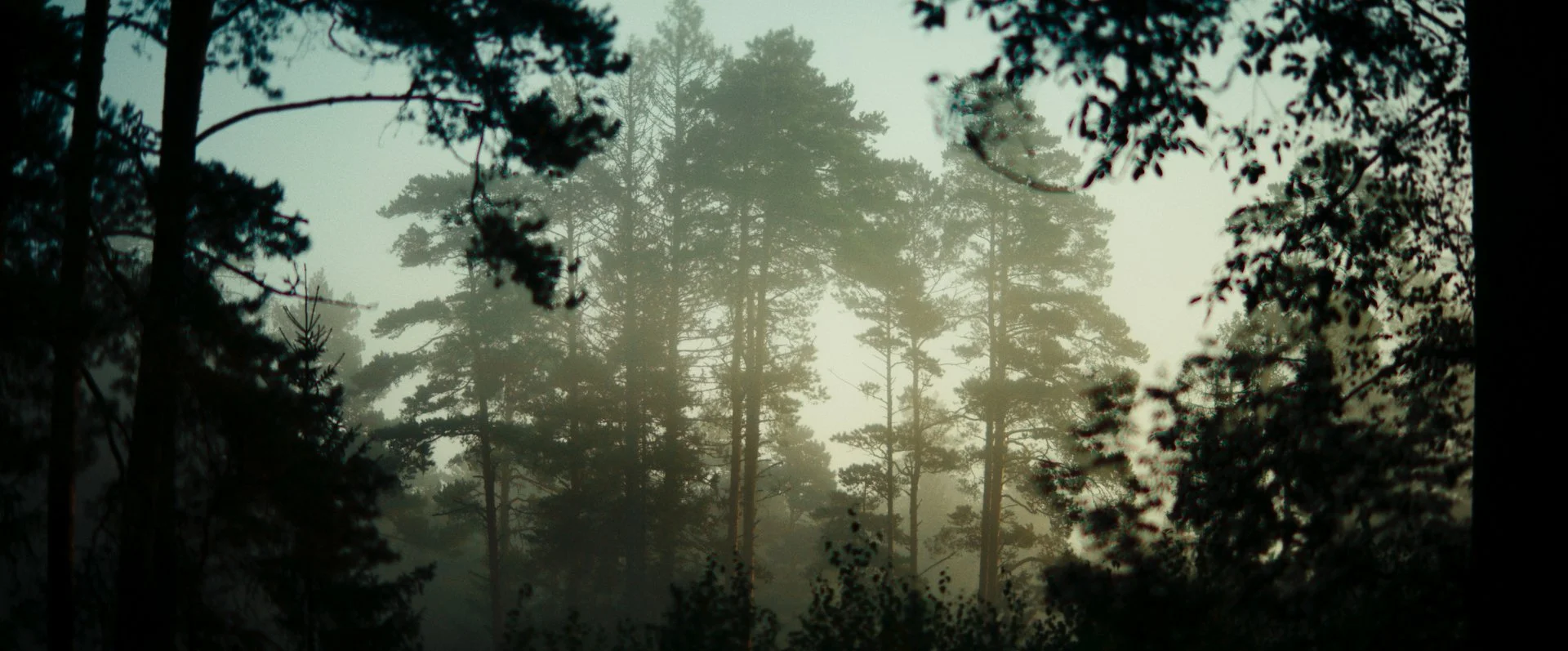 Still 2026-02-20 165520_2.5.1.jpg