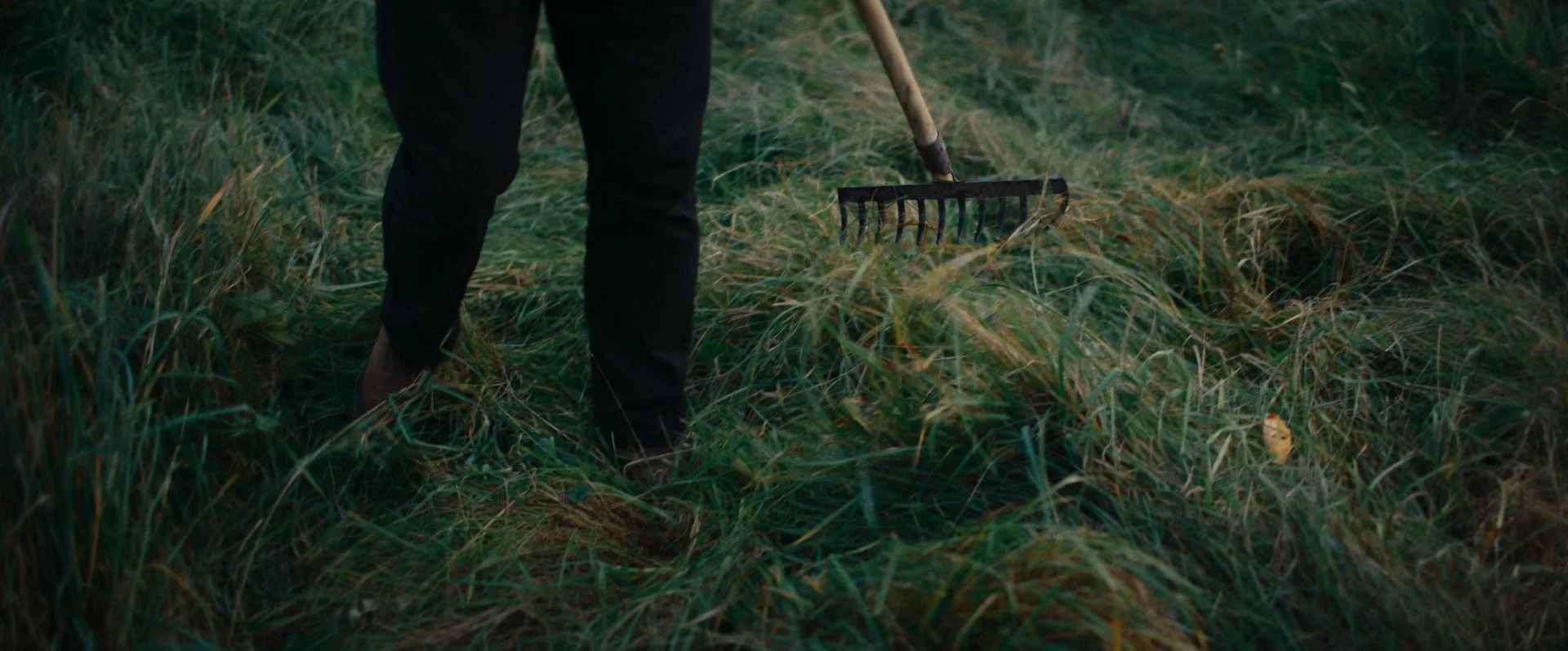 Still 2026-02-20 165520_2.29.1.jpg