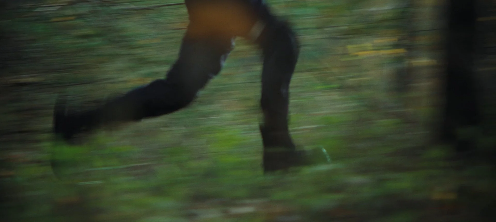 Still 2026-09-23 171942_1.1.55.jpg
