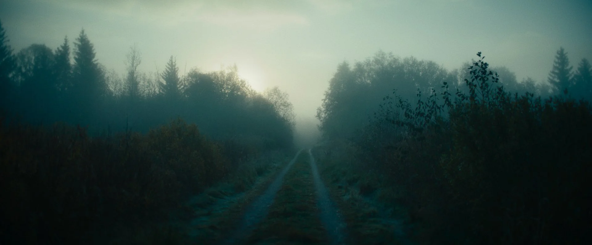 Still 2026-02-20 165520_2.2.1.jpg