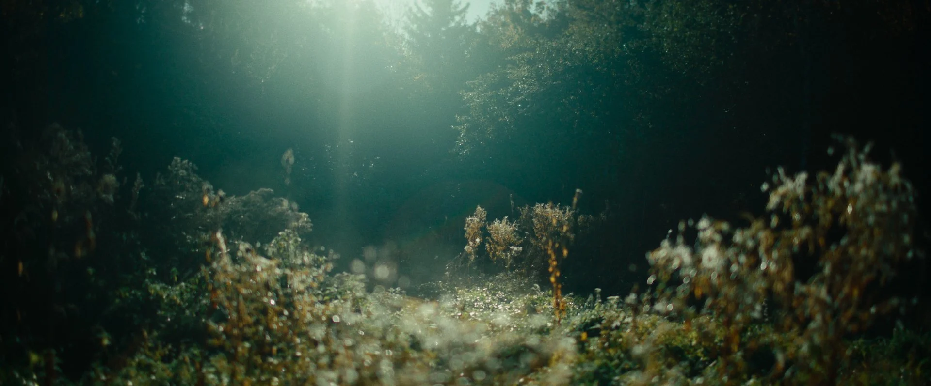 Still 2026-02-20 165520_2.8.1.jpg