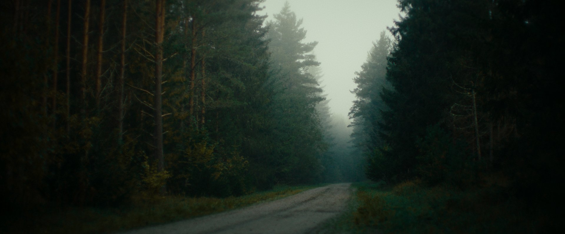 Still 2026-02-20 165520_2.6.1.jpg