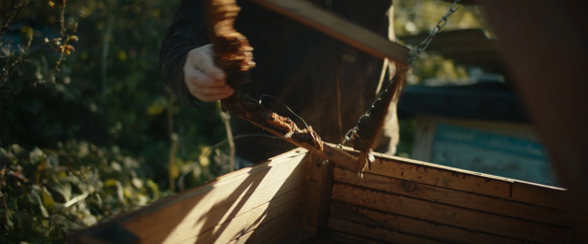 Still 2026-02-20 155536_2.197.1.jpg