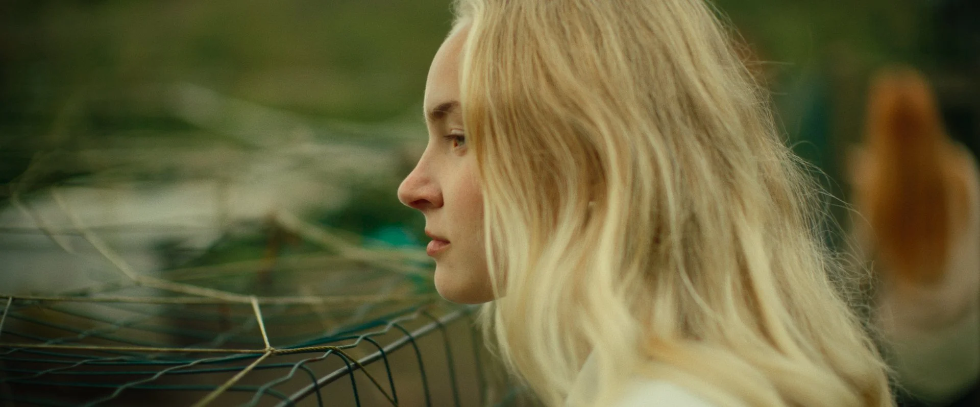 Still 2026-02-20 151309_1.306.1.jpg