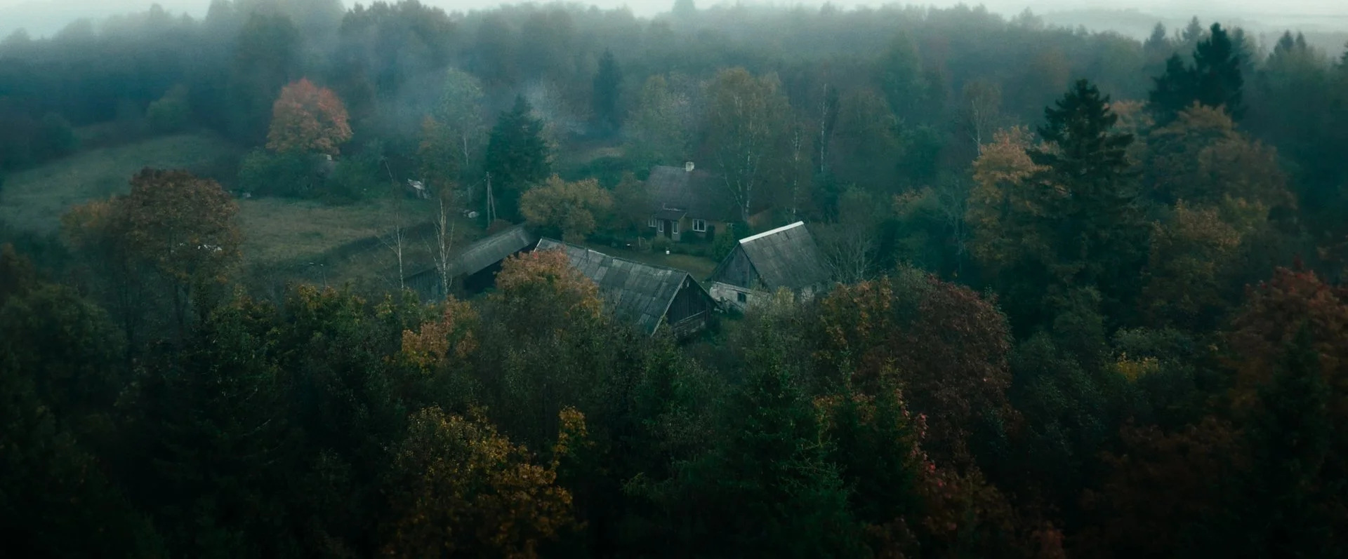 Still 2026-02-20 165520_2.95.1.jpg