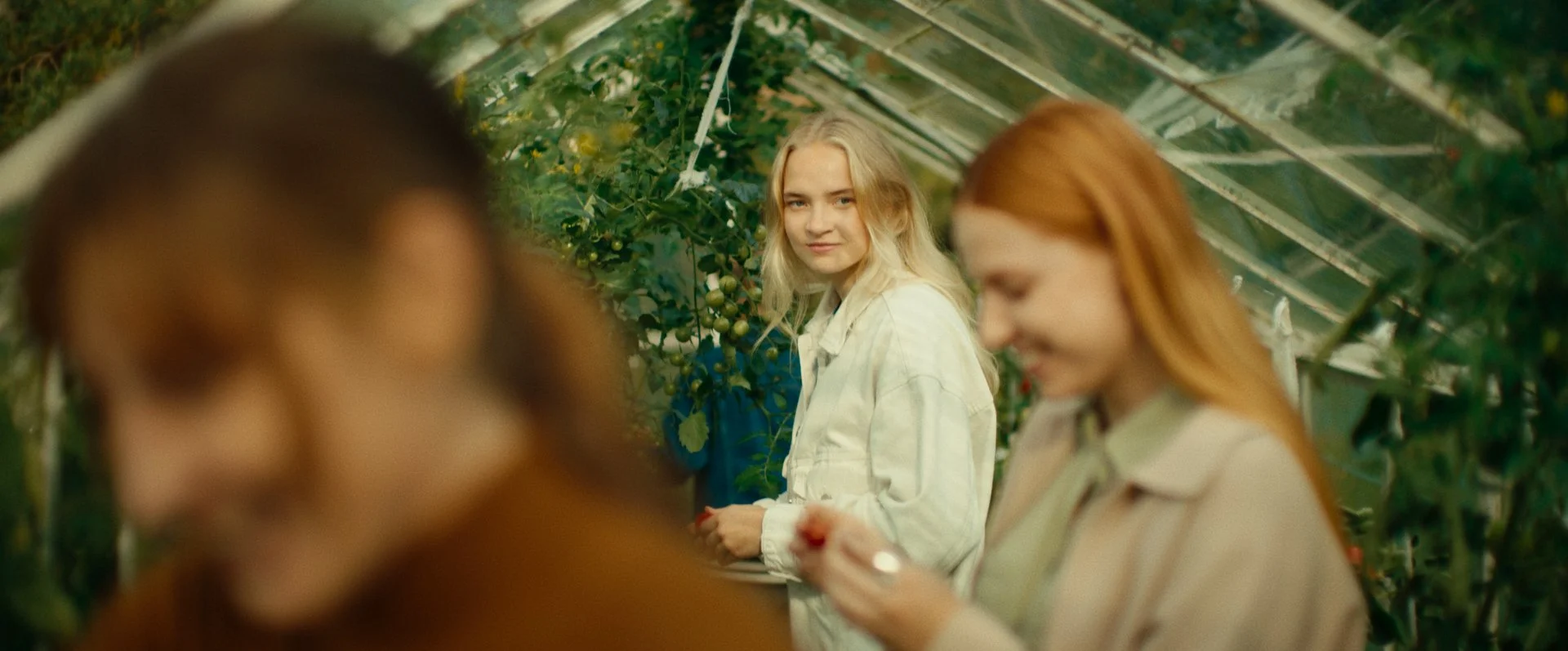 Still 2026-02-20 151309_1.305.1.jpg