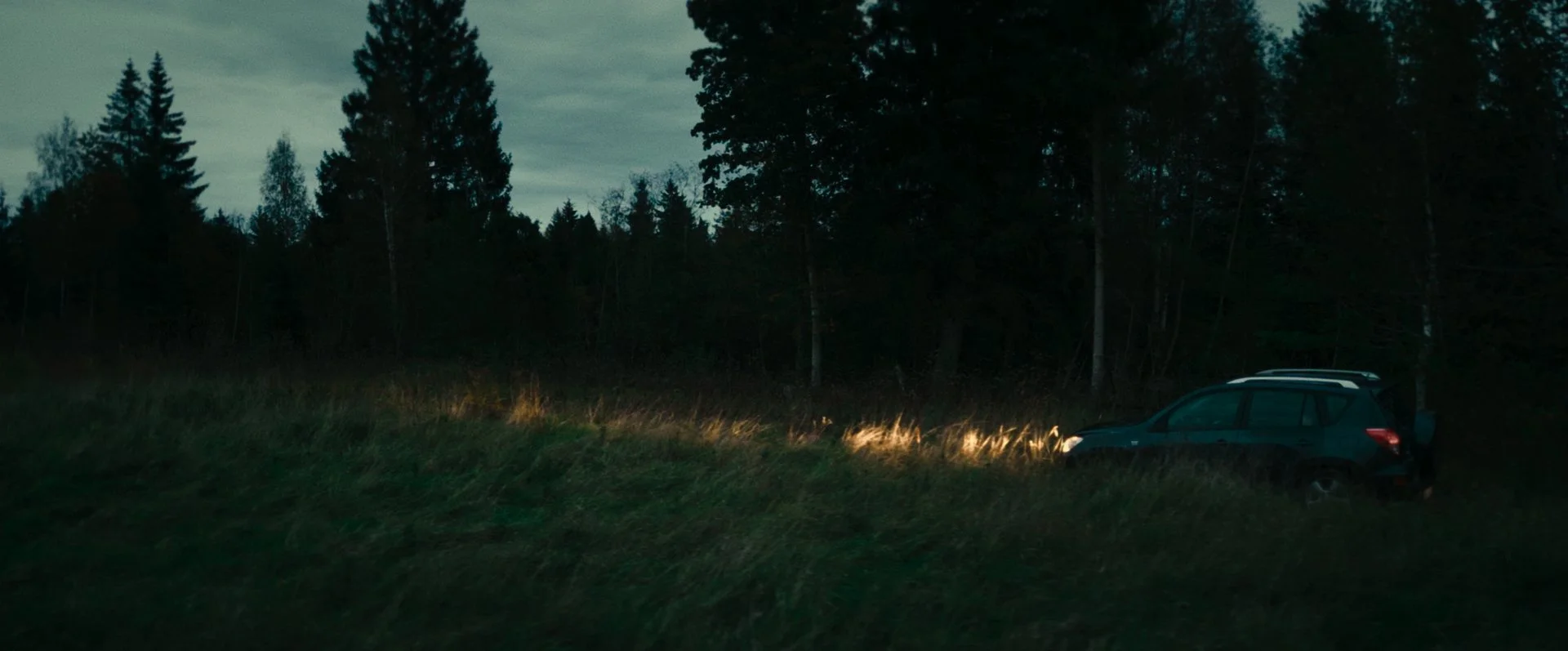 Still 2026-02-20 155536_2.127.1.jpg