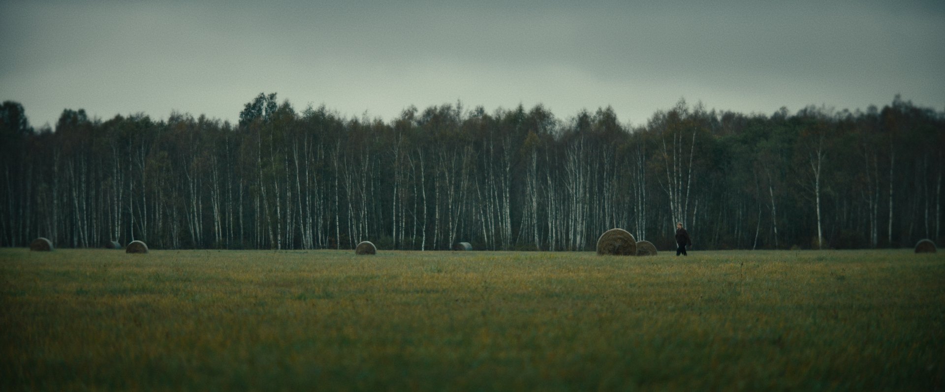 Still 2026-02-20 165520_2.13.1.jpg