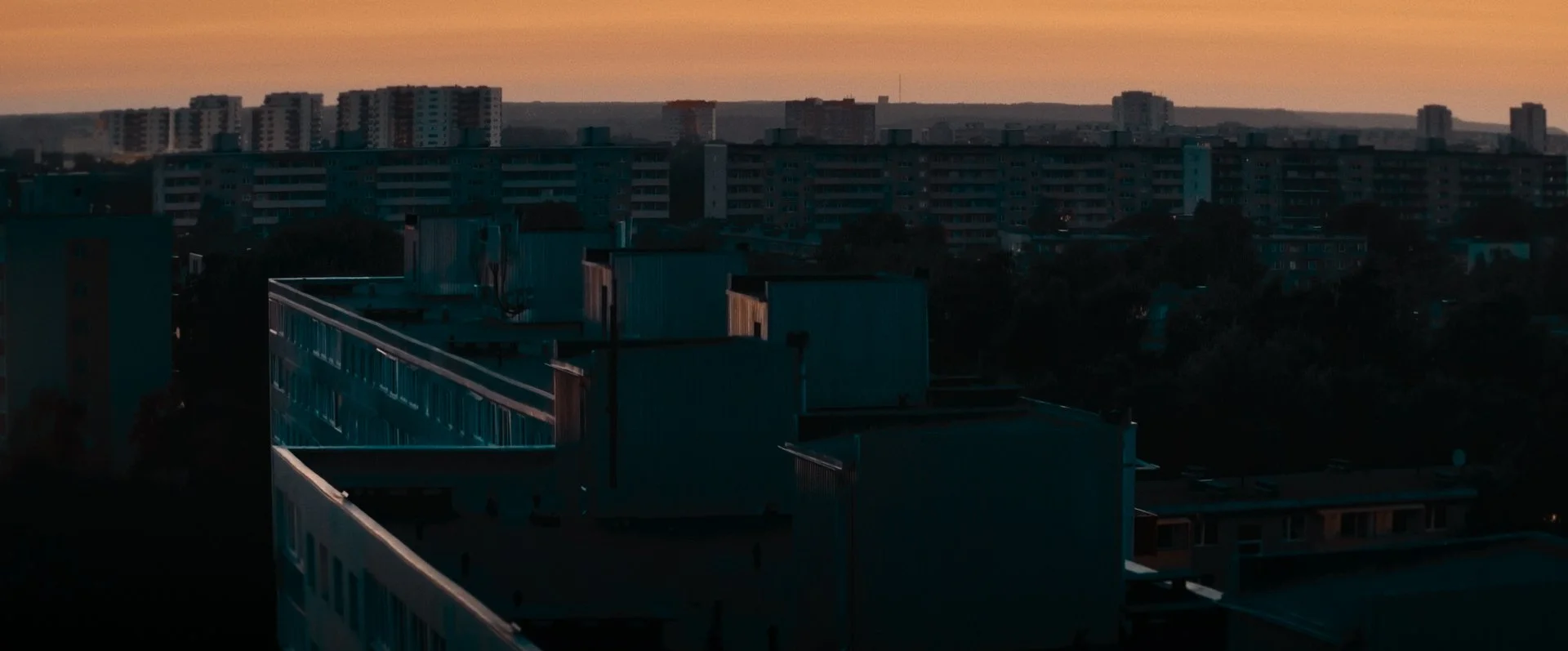 Still 2026-02-20 151309_1.219.1.jpg