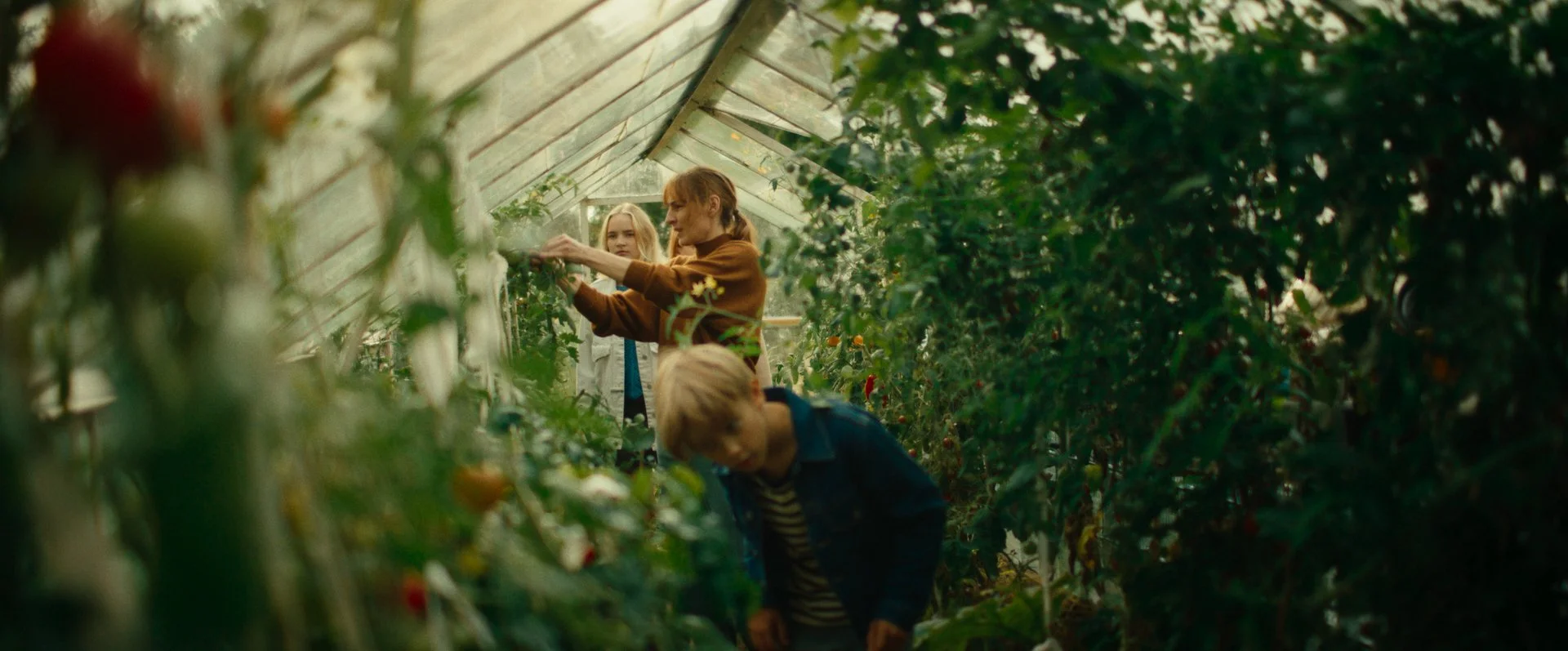 Still 2026-02-20 151309_1.302.1.jpg