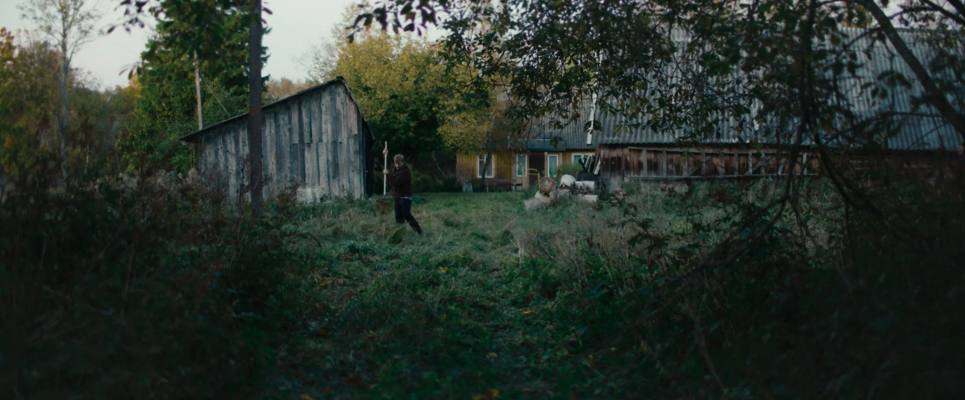 Still 2026-02-20 165520_2.30.1.jpg