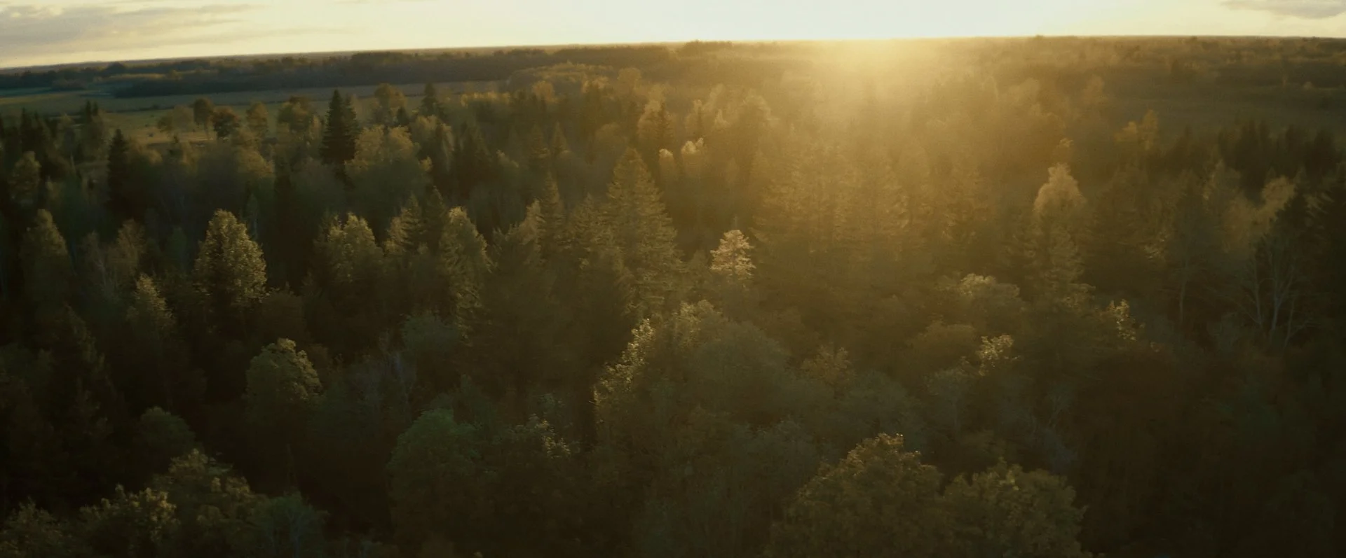 Still 2026-02-20 155536_2.208.1.jpg