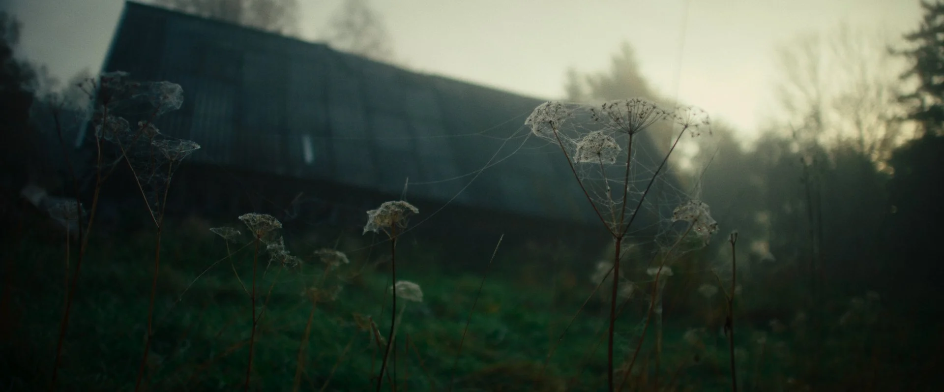 Still 2026-02-20 165520_2.10.1.jpg