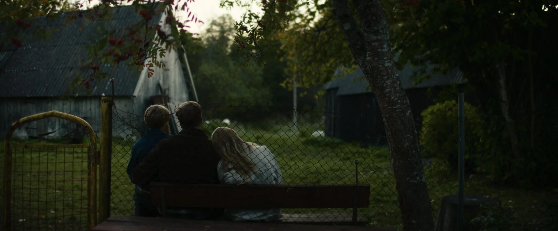 Still 2026-02-20 155536_2.207.1.jpg