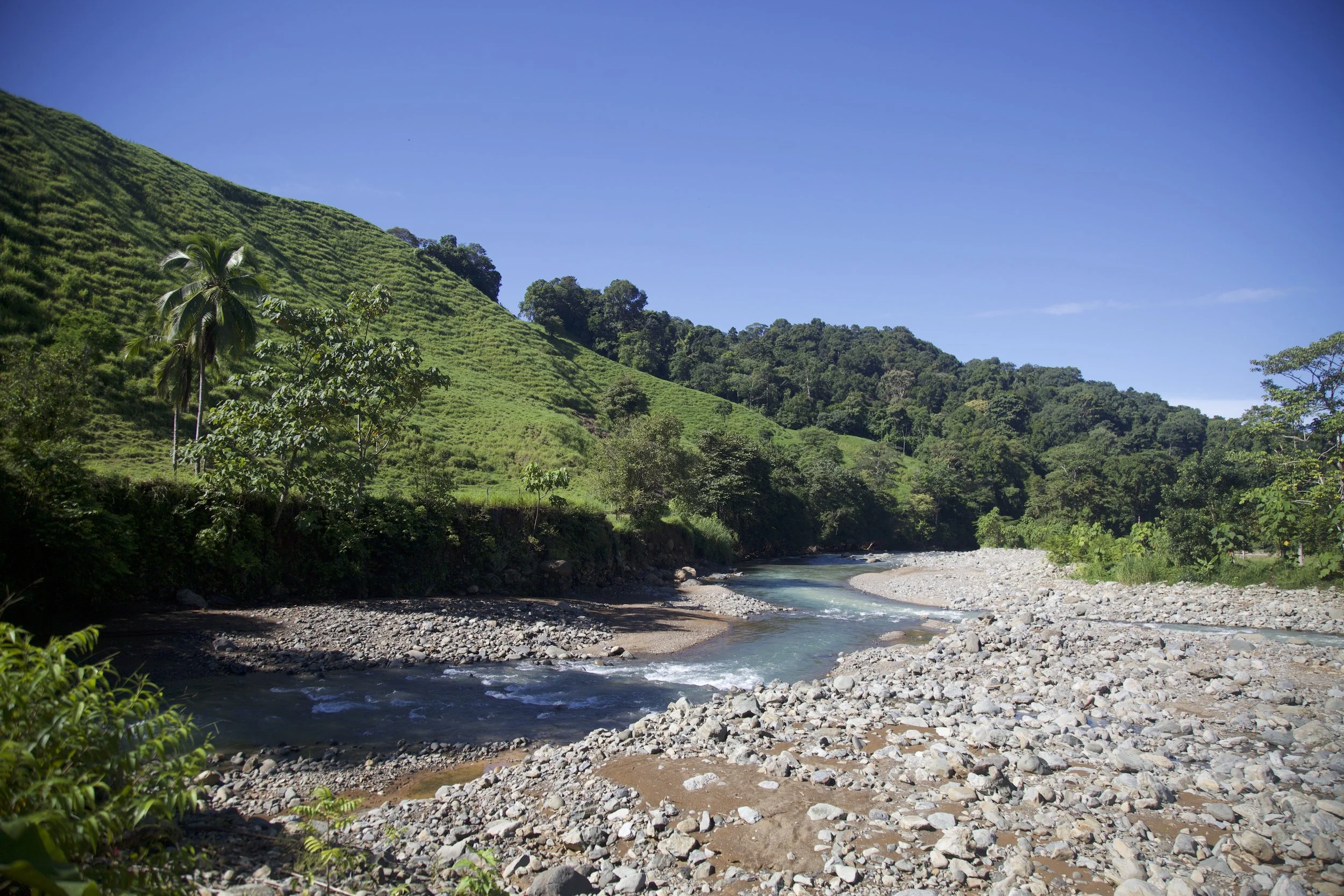 river & blue skies.jpeg