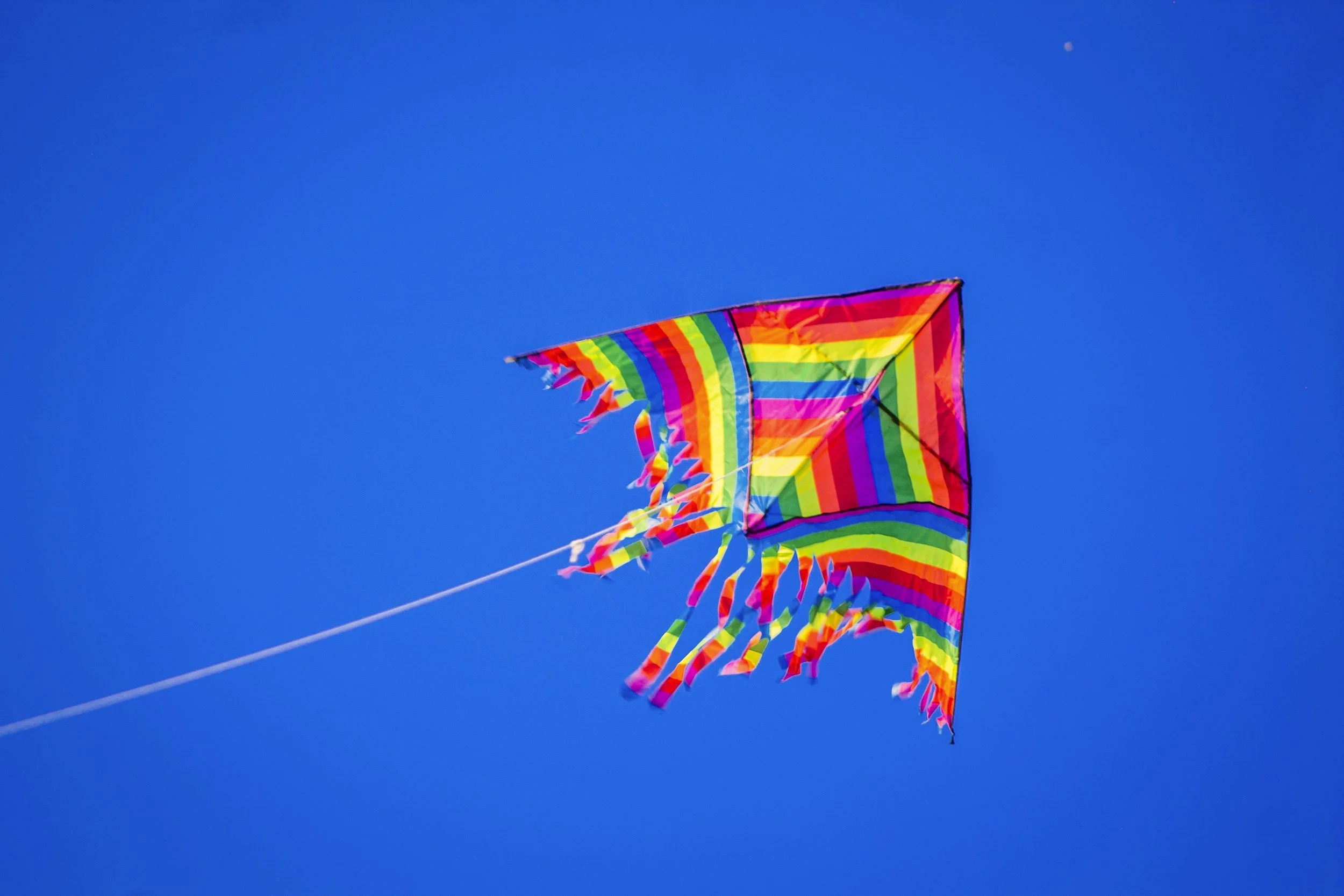 9th Annual End of the Trail Kite Festival