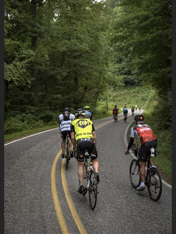 Cyclists riding on a winding forest road surrounded by green trees.
