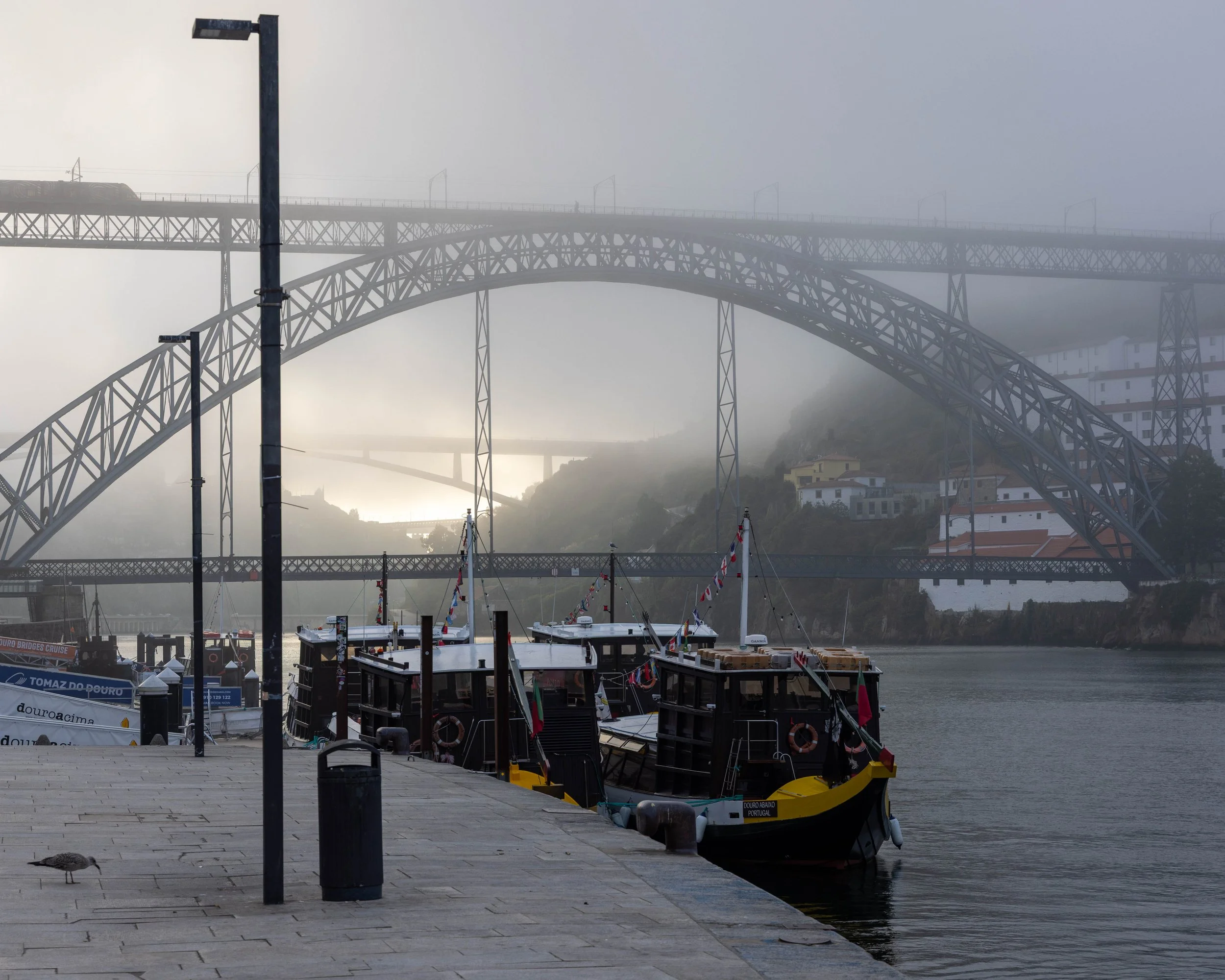 Foggy sunrise on the River Douro, Porto