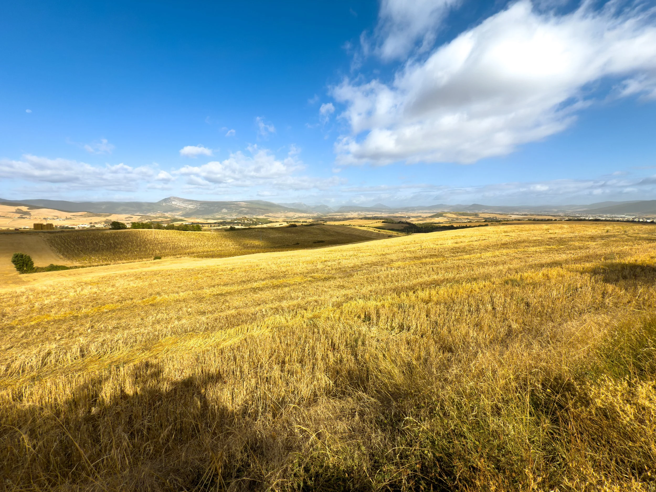 Zariquiegui, Navarre, Spain - September 2025