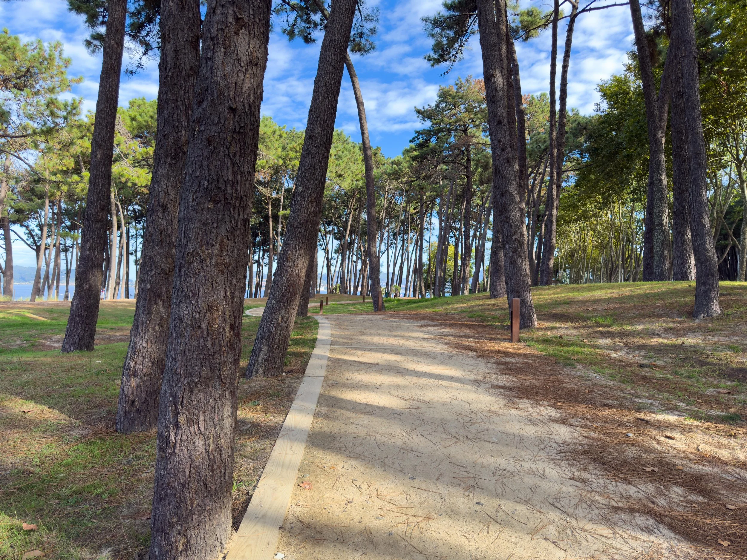 The Camino path briefly veered away from the ocean through this picturesque park.