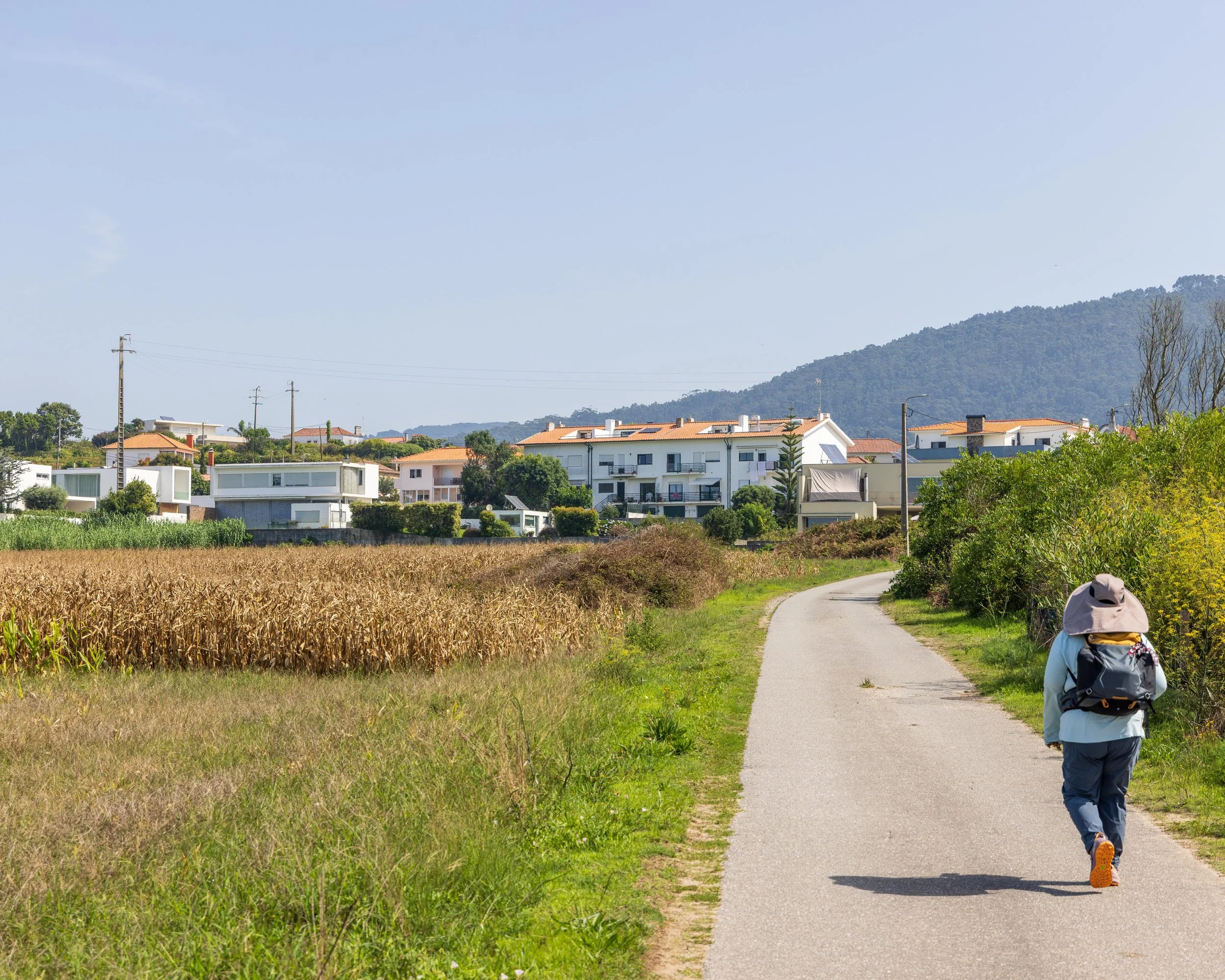 farmland and small villages along the ocean