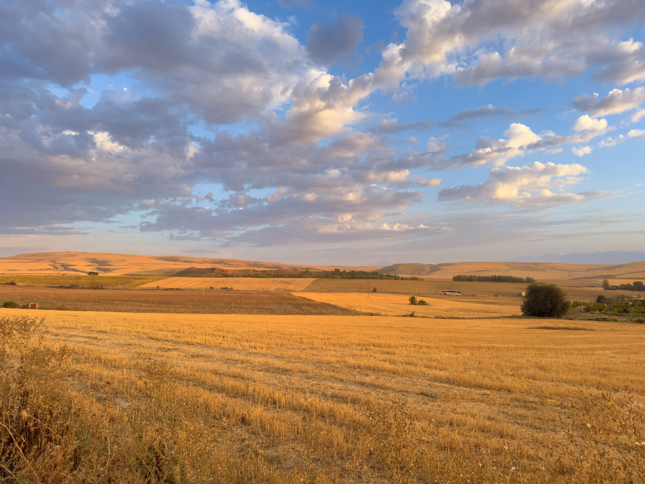 Camino De Santiago  between Belerado and Ages Spain September 2025