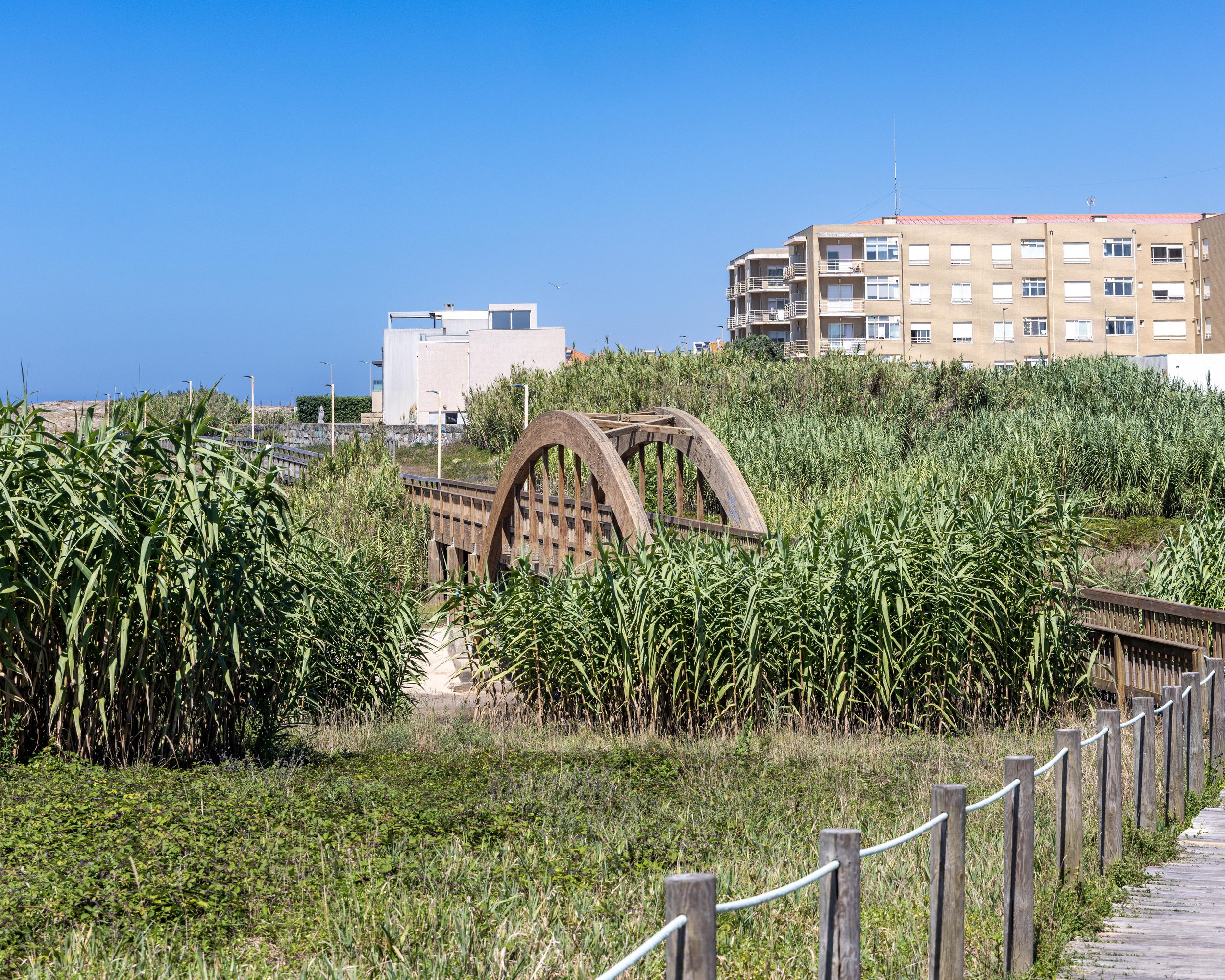 boardwalk bridge