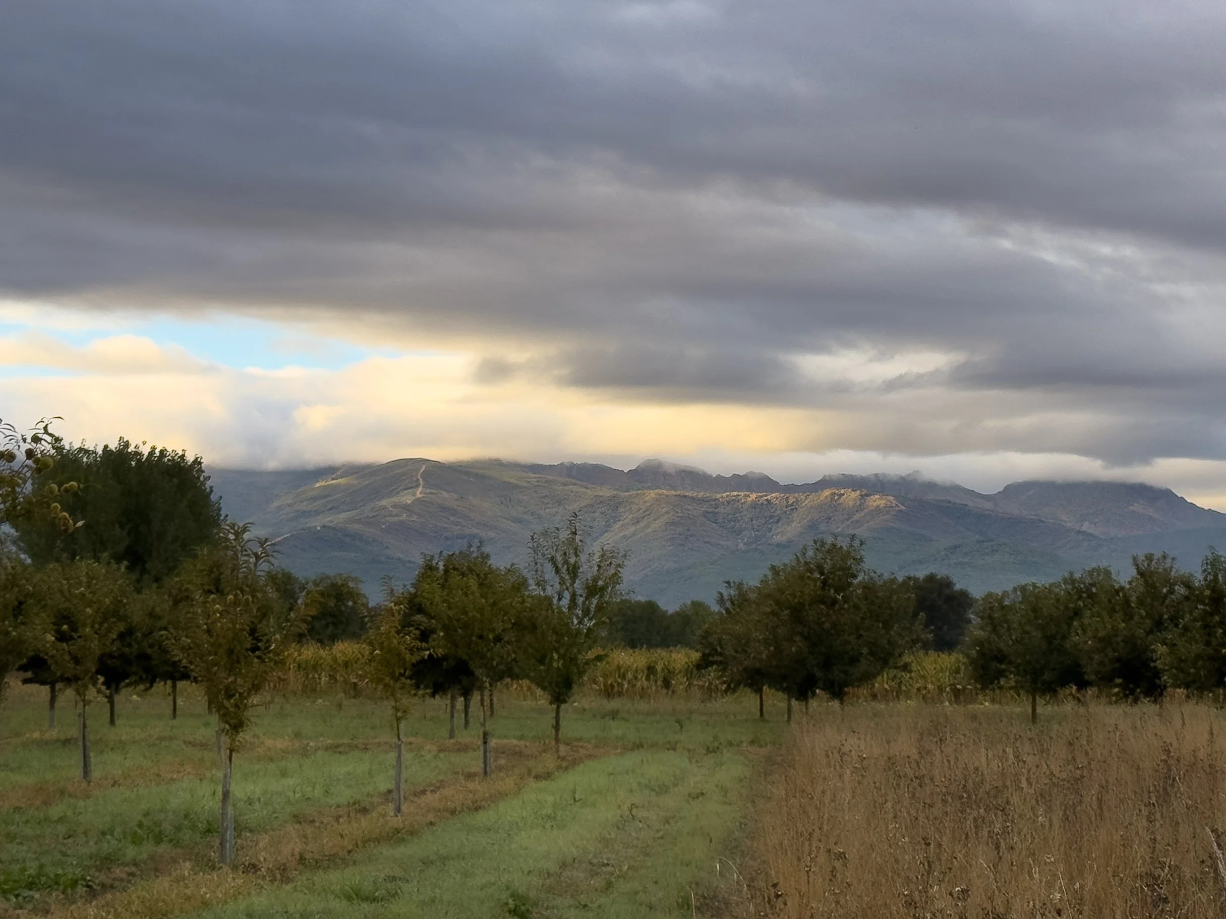 Ponferrada, Castilla y Leon, Spain - October 2025