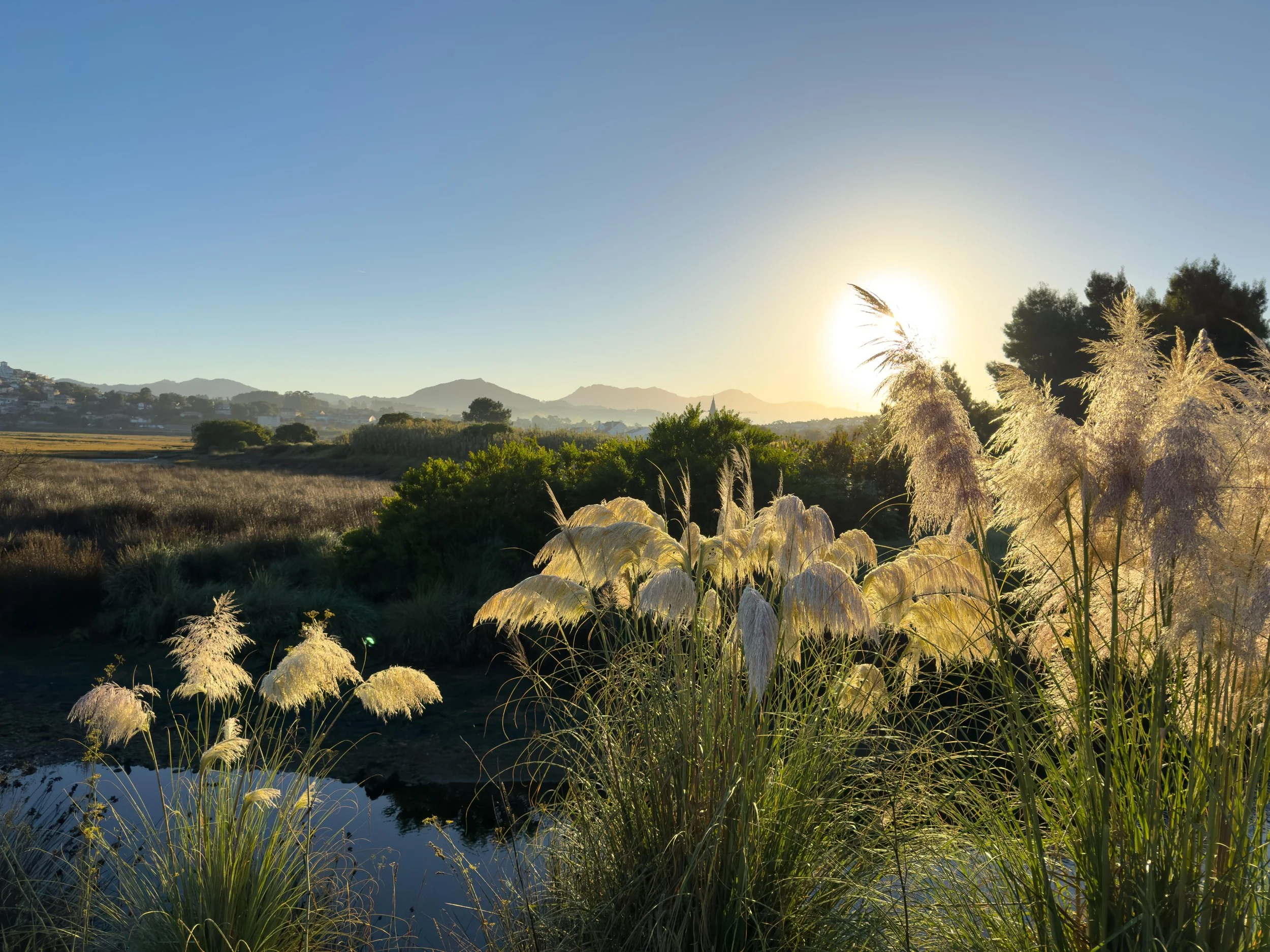 Early morning during our walk from Baiona to Saians, Spain