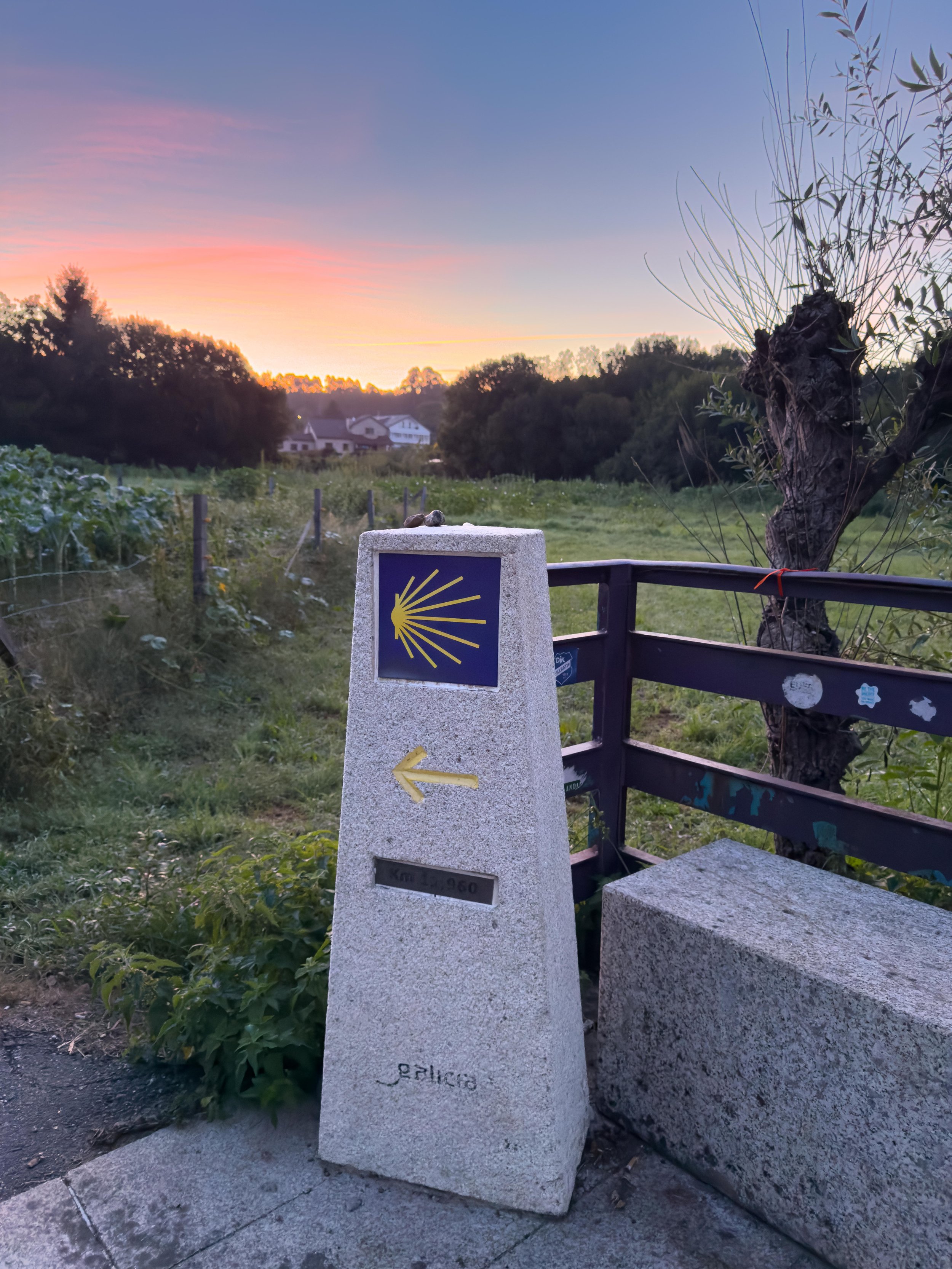 Sunrise, this way!