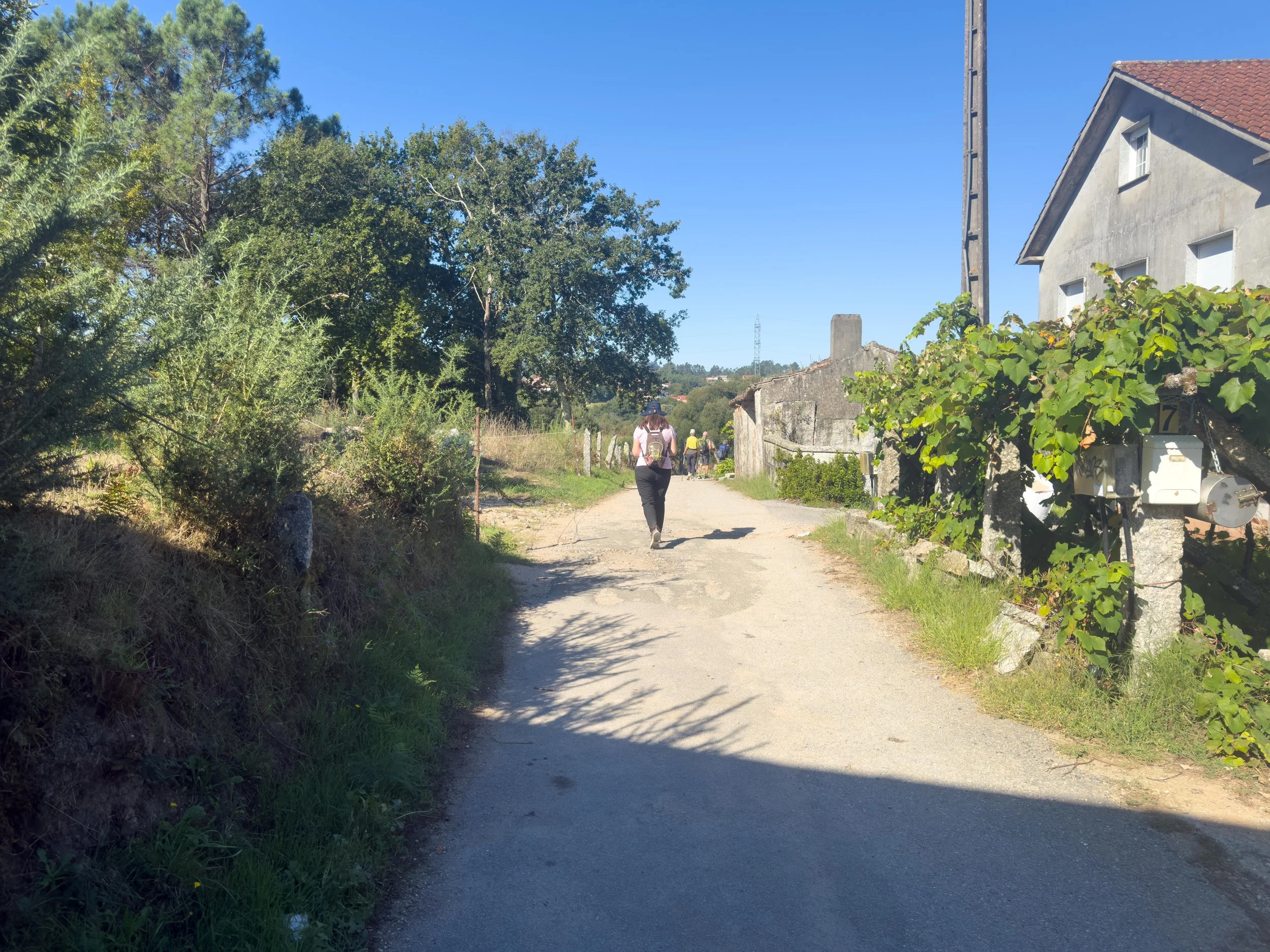 Long, hot walk today.  Temps over 90 degrees, 13.5 miles. 