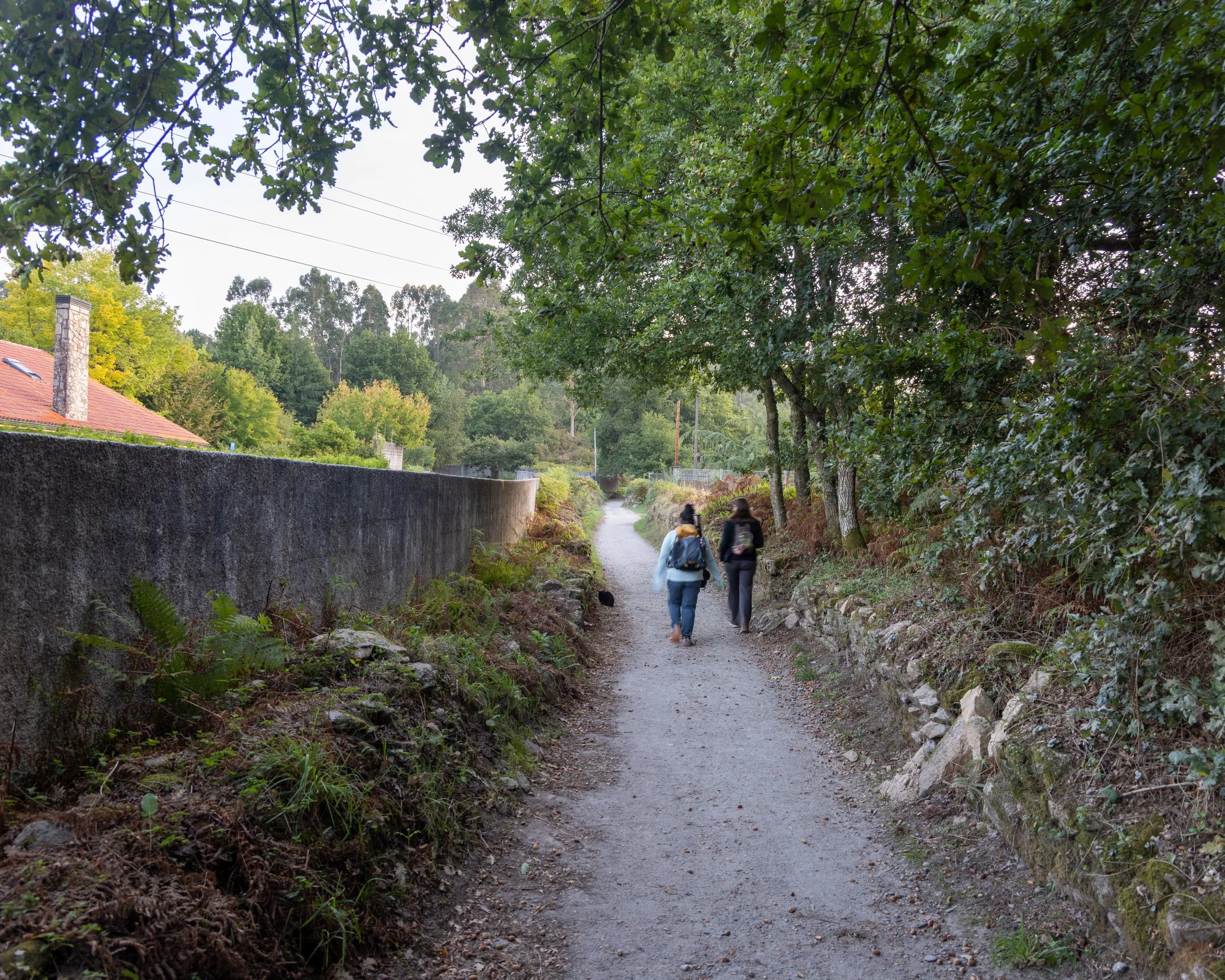 Day 18 - Teo to Santiago 
