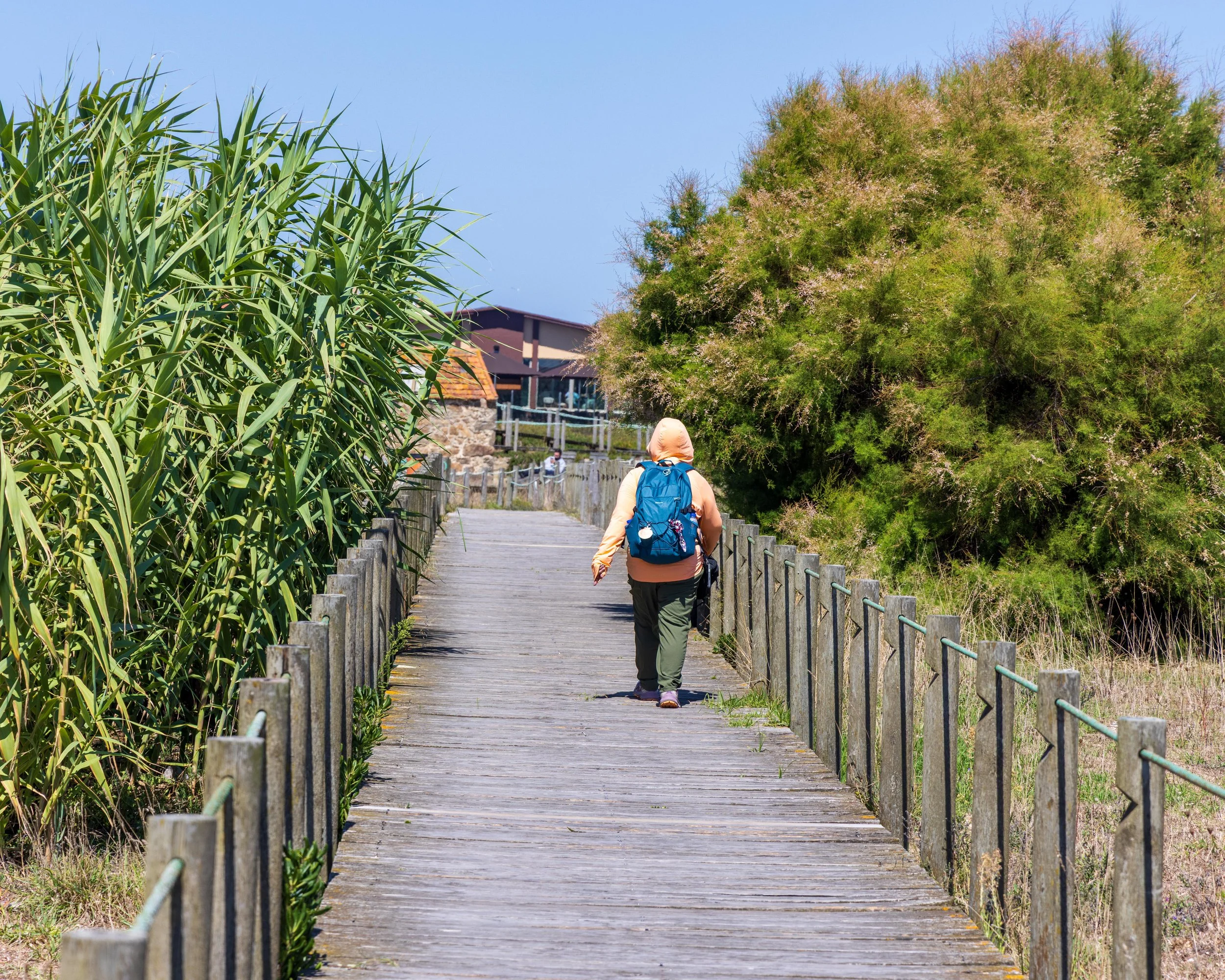 Cruising down the boardwalk