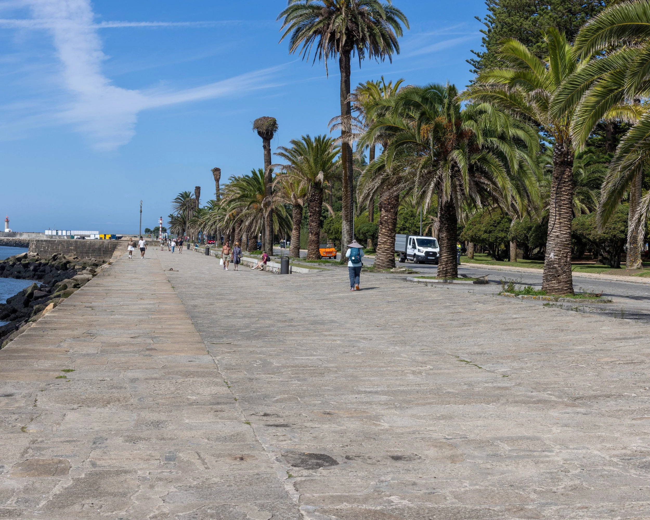 Camino Portuguese Porto