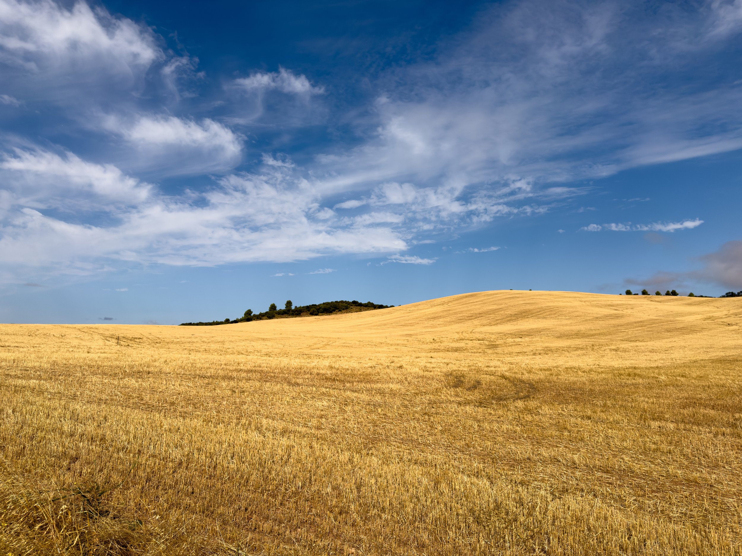 Camino View Navarra, Spain - September 2025