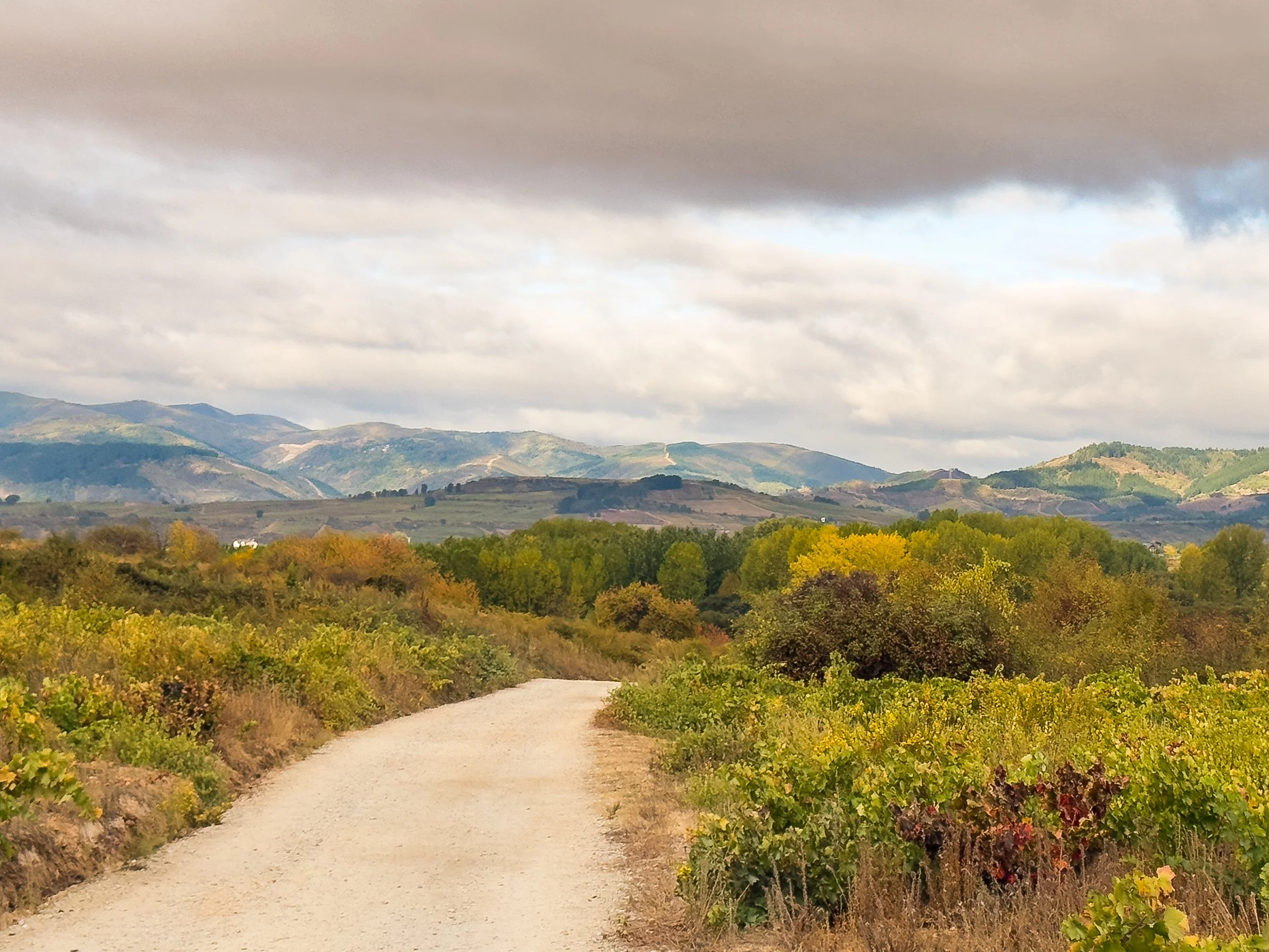 Camponaraya, Castilla y Leon, Spain - October 2025