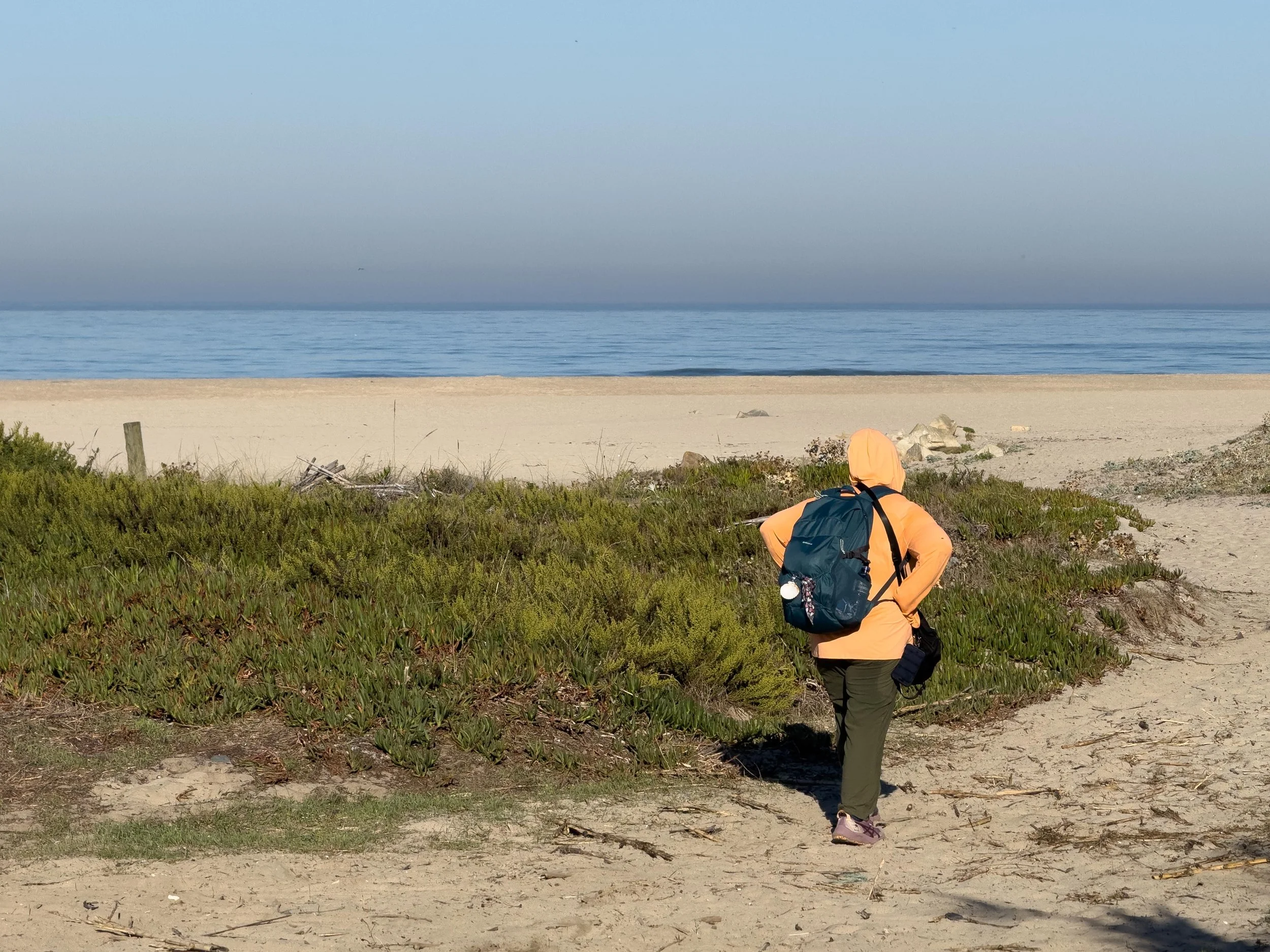 After the fall.  If you read the blog, you will remember Sunita fell and hurt her knee where the Camino left the coast and followed dirt roads for a mile or so.  She fell just as we were approaching the Atlantic again.  